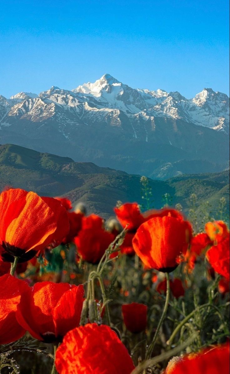 Жемчужины Кыргызстана за 6 дней. Все включено!