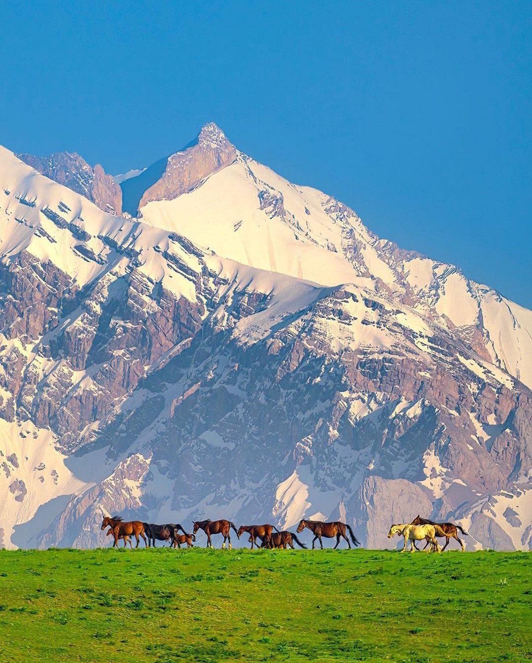 Жемчужины Кыргызстана за 6 дней. Все включено! (2/23)