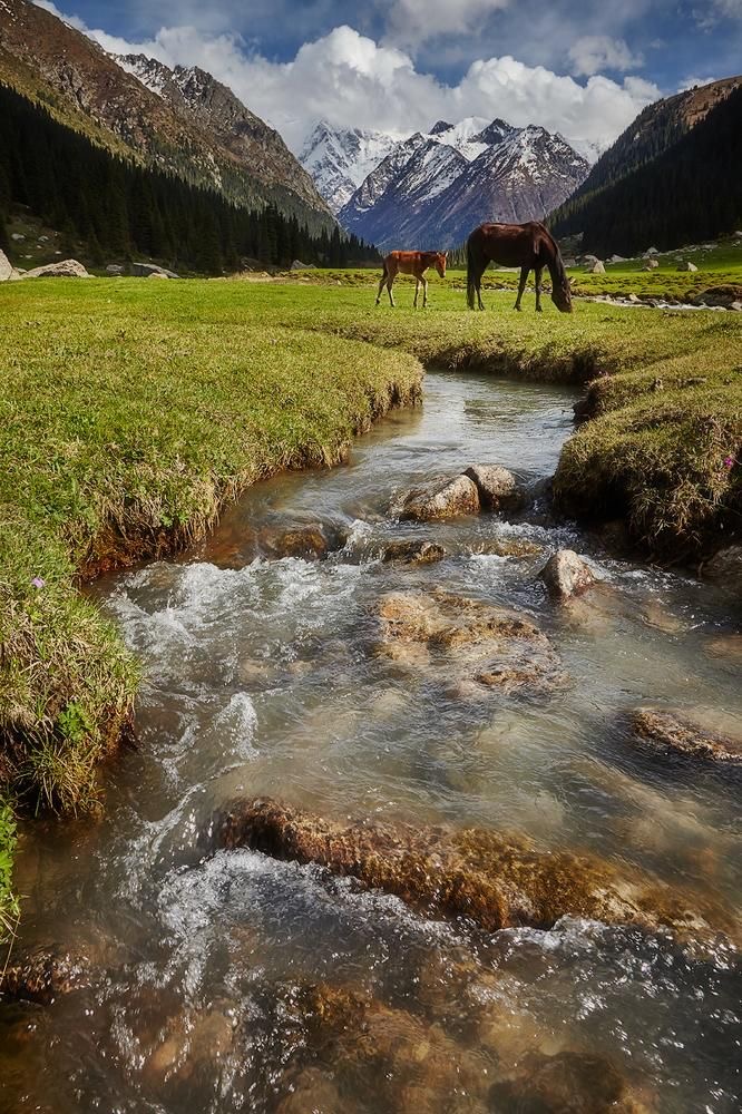 Жемчужины Кыргызстана за 6 дней. Все включено! (22/23)