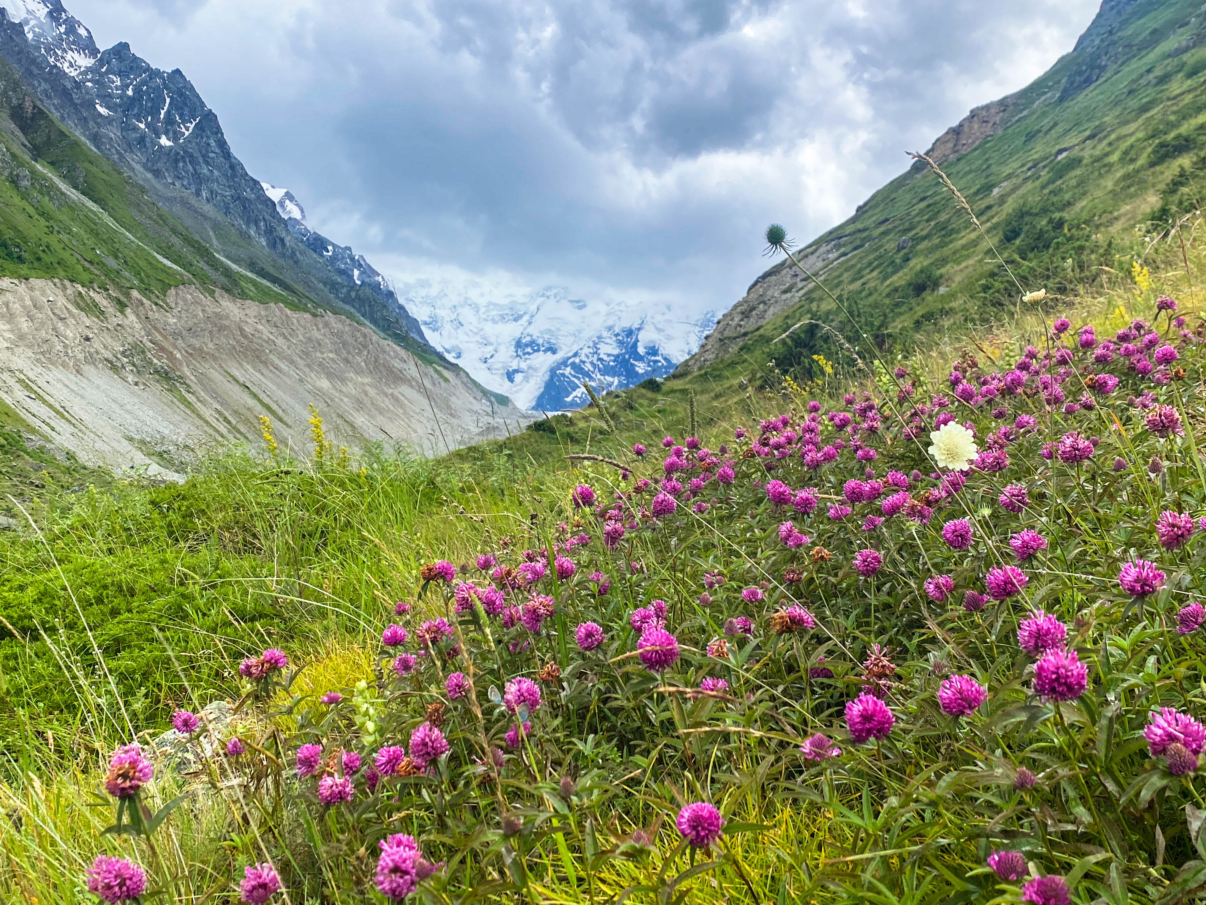 Безенги. Главные стены Кавказа. Палаточный лагерь (24/42)