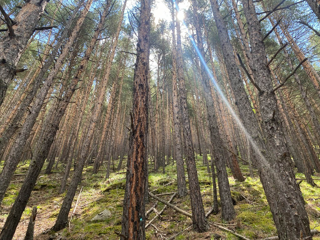 Приэльбрусье - царство горных панорам (14/37)