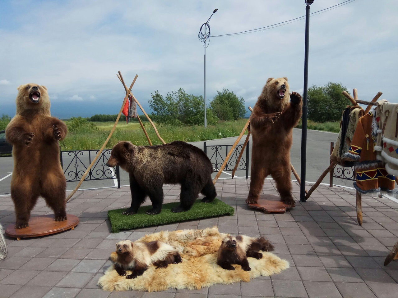 Автотур по Камчатке. без палаток! (29/63)