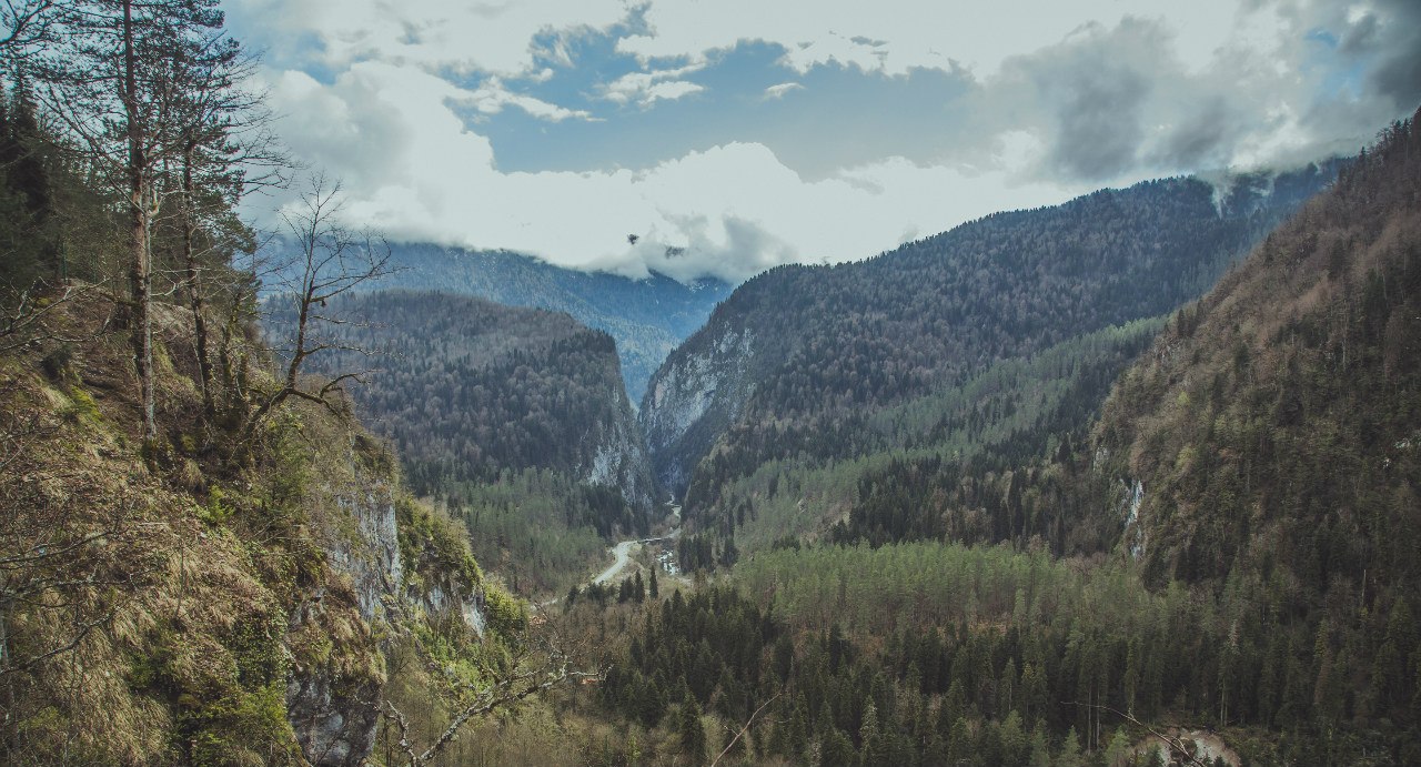 Горная Абхазия (4/31)