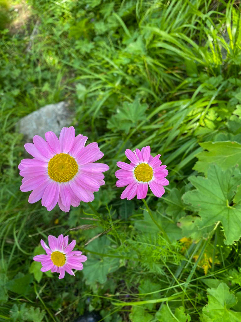 Приэльбрусье - царство горных панорам (15/37)