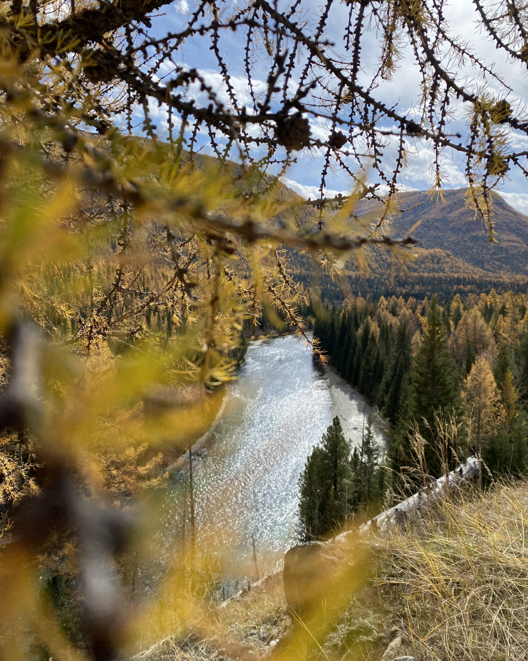Непостижимый Аргут + Чокпорташ со стартом из Кош-Агача (33/84)