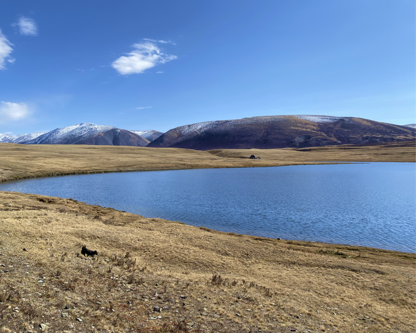 Непостижимый Аргут + Чокпорташ со стартом из Кош-Агача (30/84)