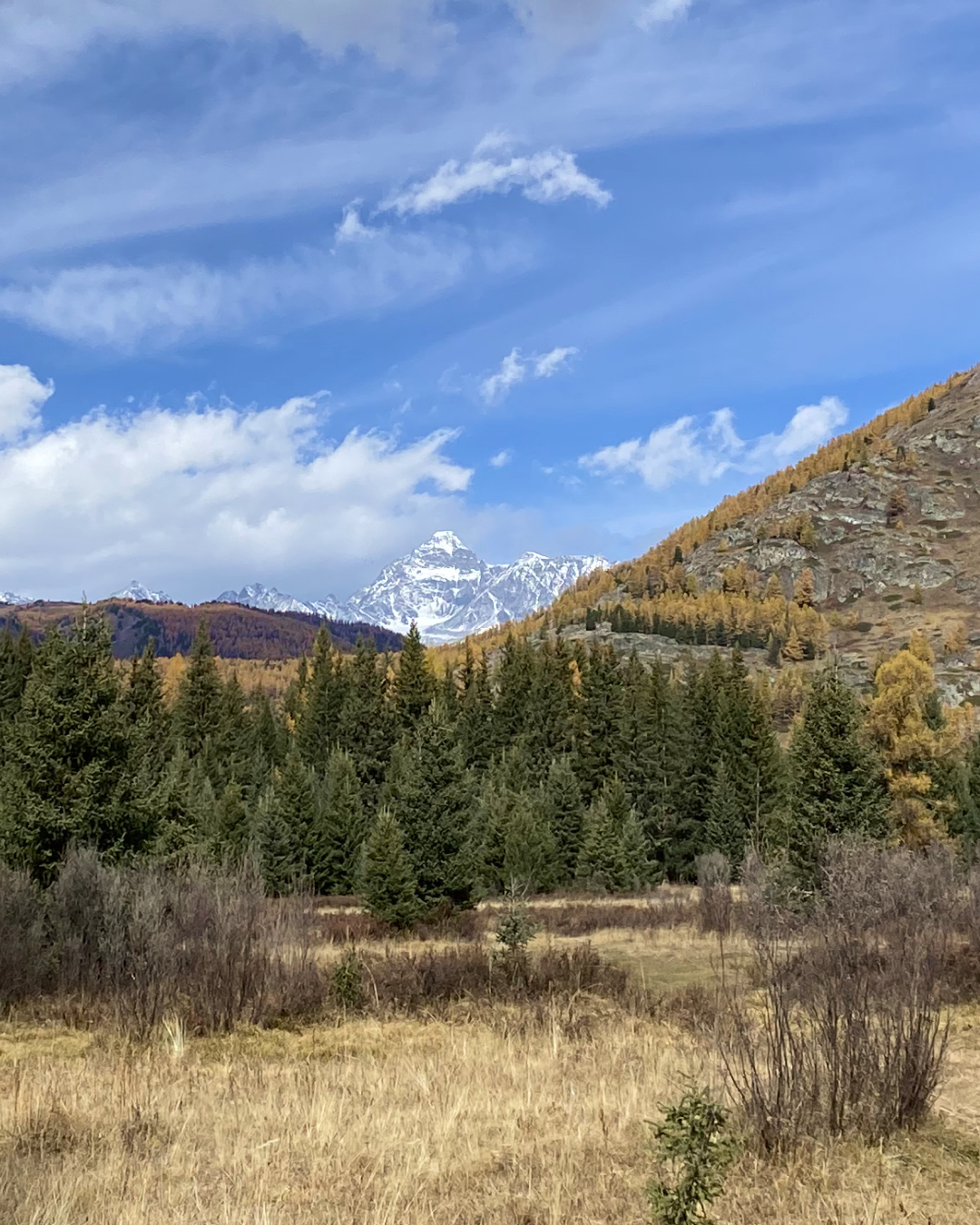 Непостижимый Аргут + Чокпорташ со стартом из Кош-Агача (31/84)