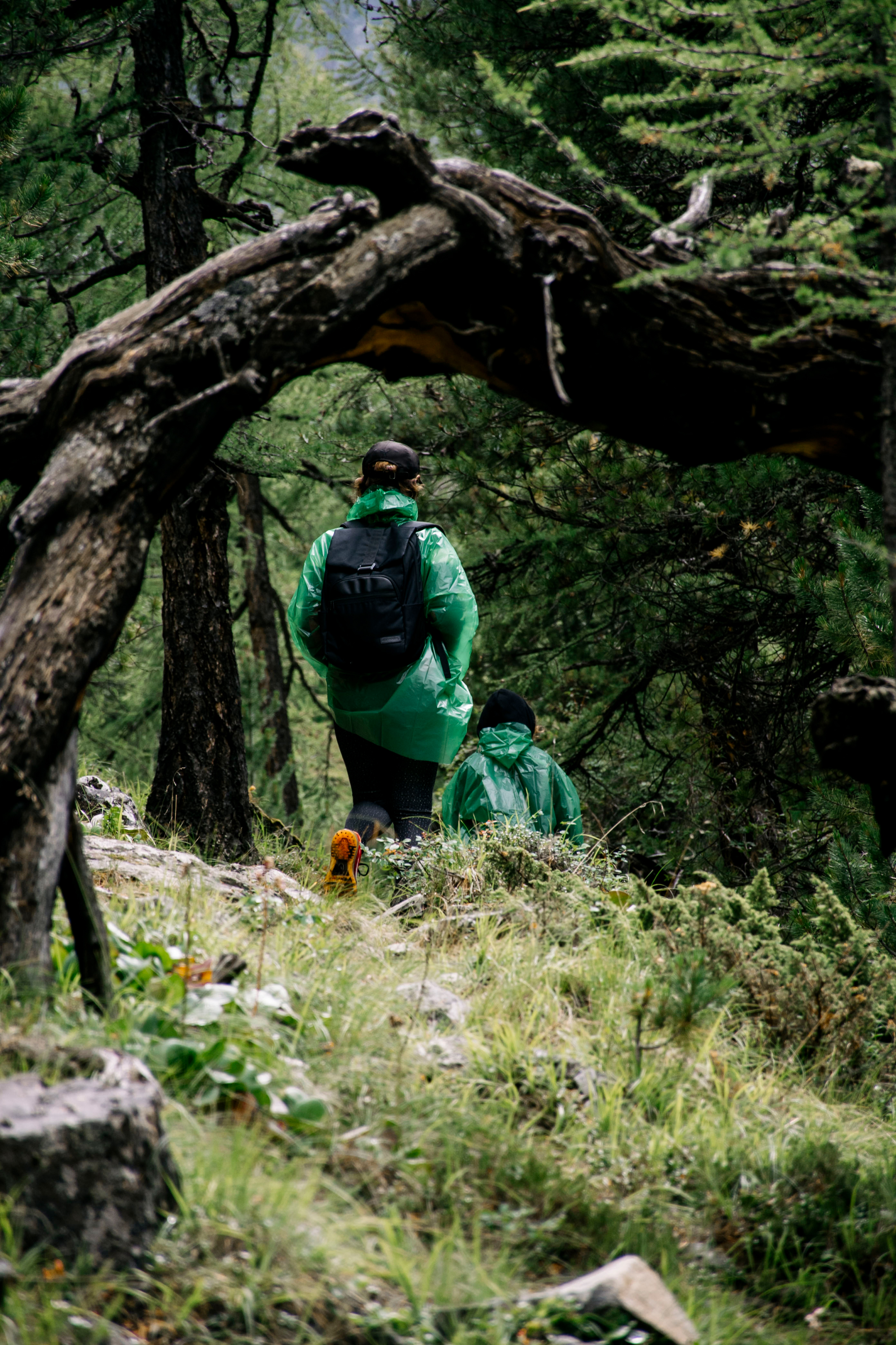 Актив-тур: конные прогулки, трекинг, Чуйский тракт! (38/63)