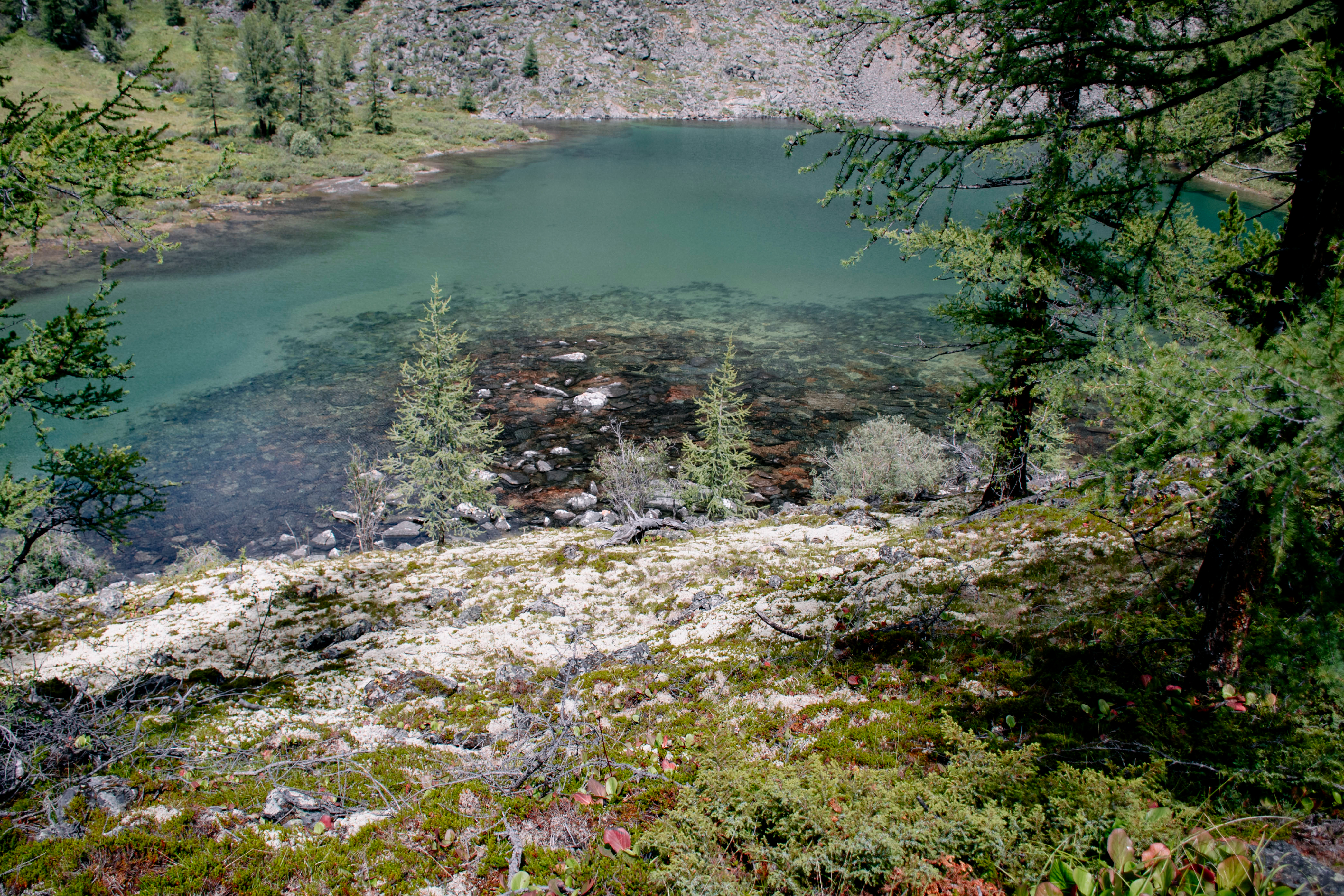 Актив-тур: конные прогулки, трекинг, Чуйский тракт! (39/63)
