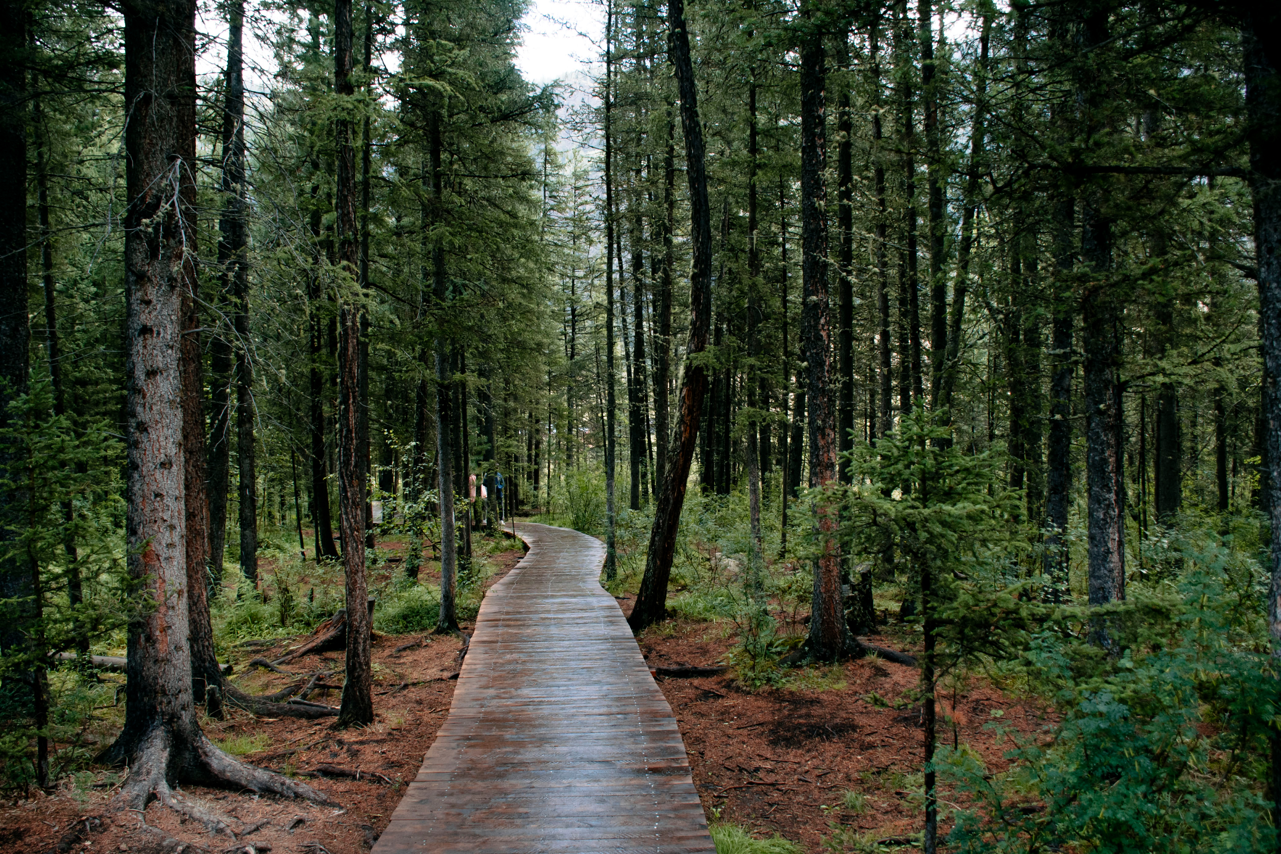 Актив-тур: конные прогулки, трекинг, Чуйский тракт! (24/63)