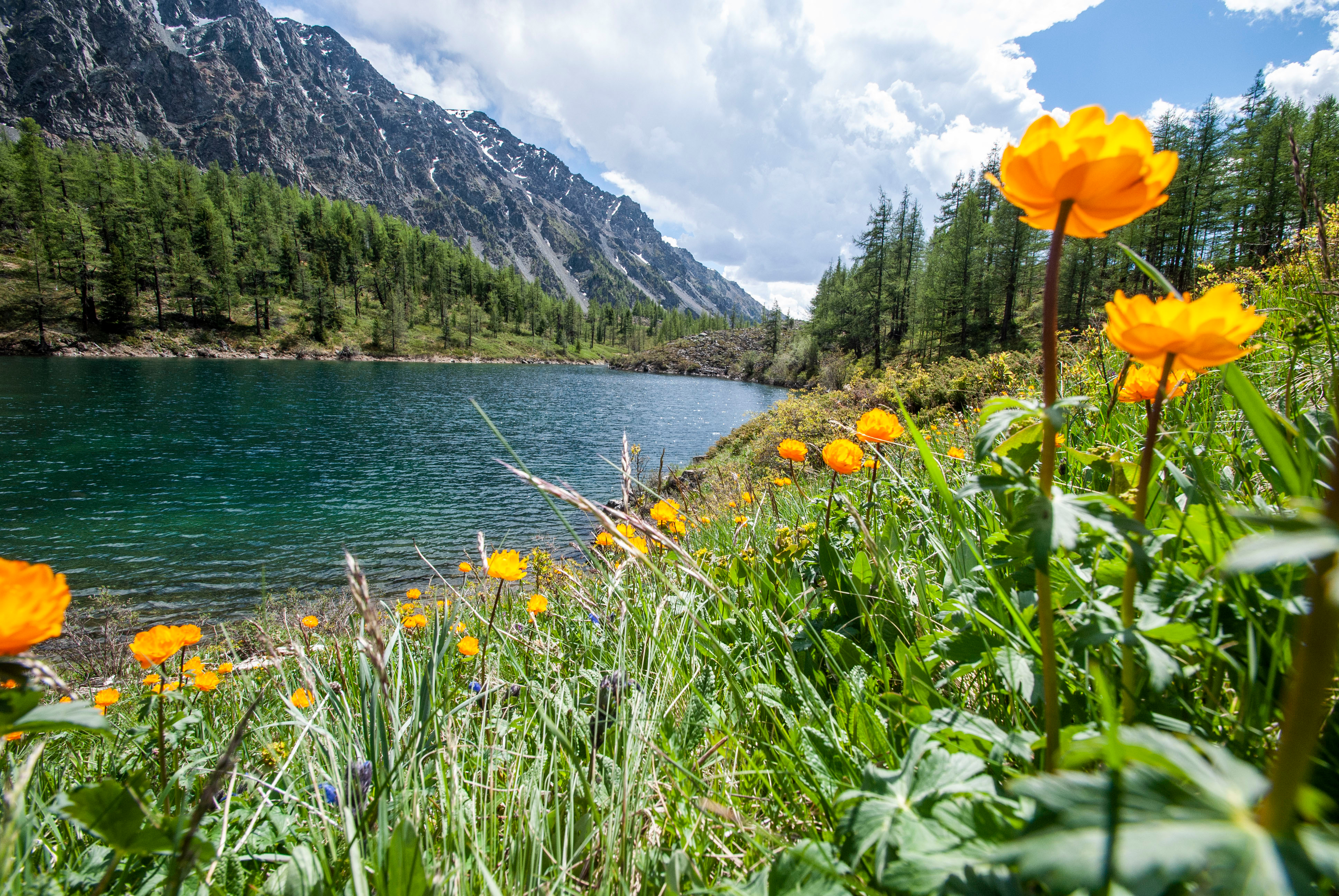 Актив-тур: конные прогулки, трекинг, Чуйский тракт! (5/63)