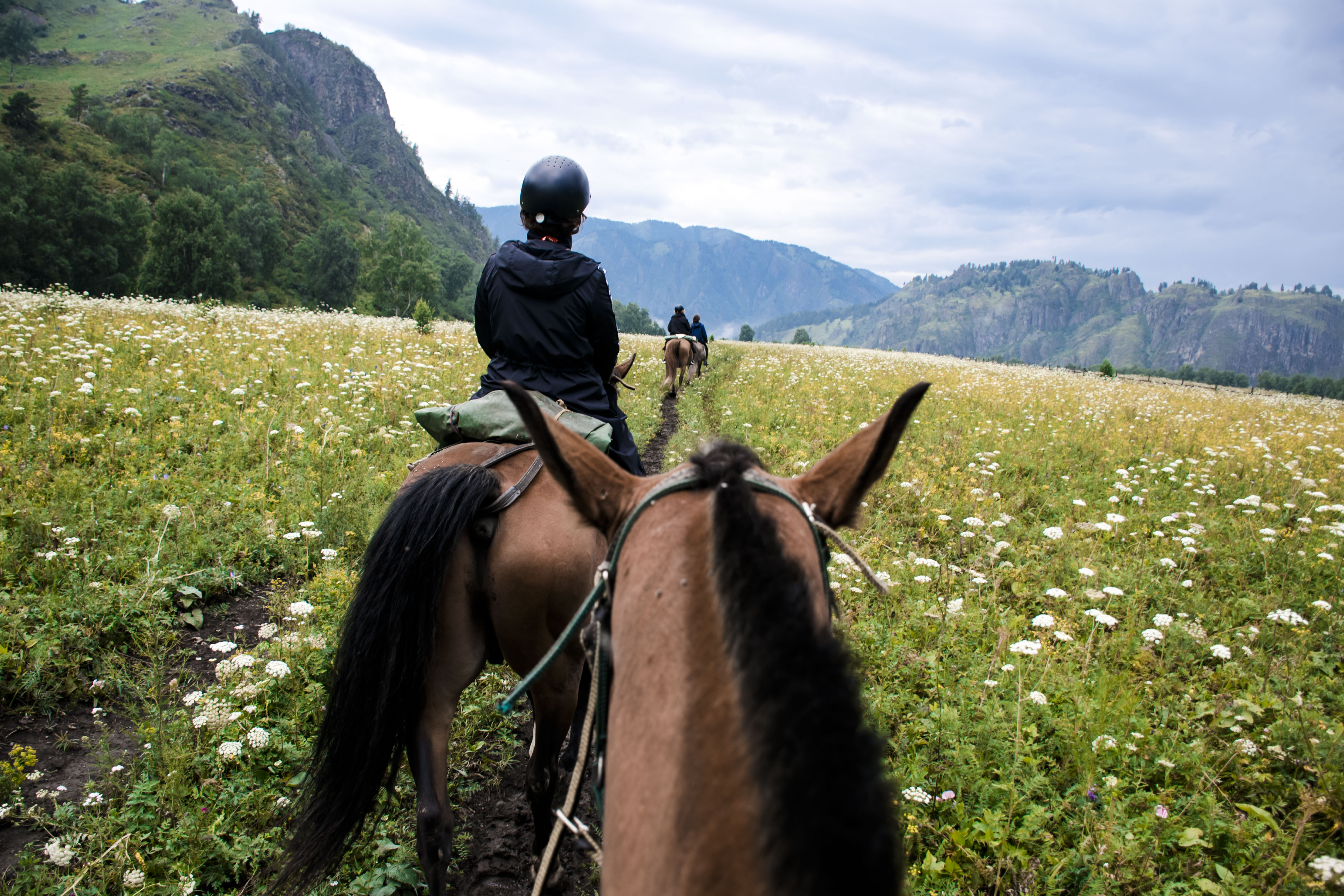 Актив-тур: конные прогулки, трекинг, Чуйский тракт! (44/63)