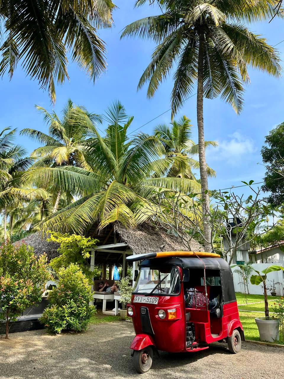Шри-Ланка на максимум: от джунглей до океанских волн (43/100)