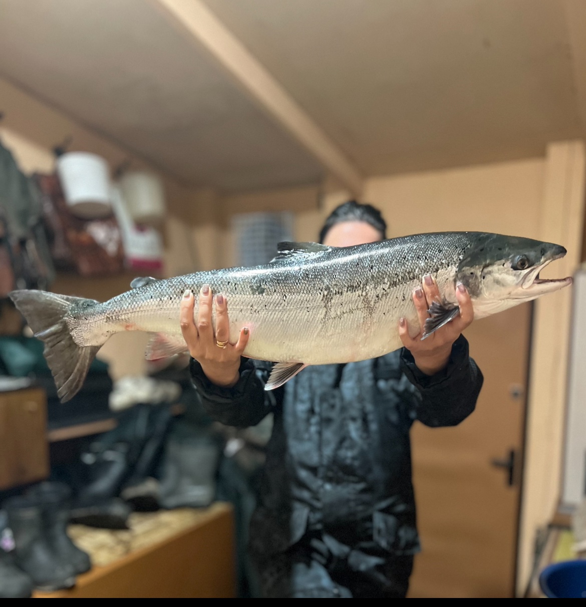 Трофеи Белого моря. Рыболовный тур по Терскому берегу (5/33)