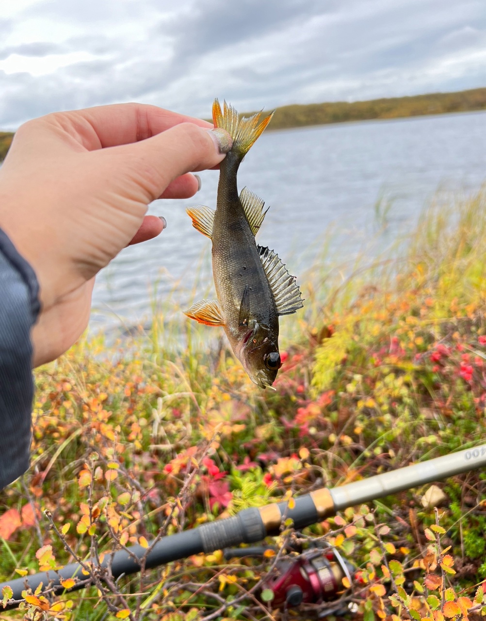 Трофеи Белого моря. Рыболовный тур по Терскому берегу