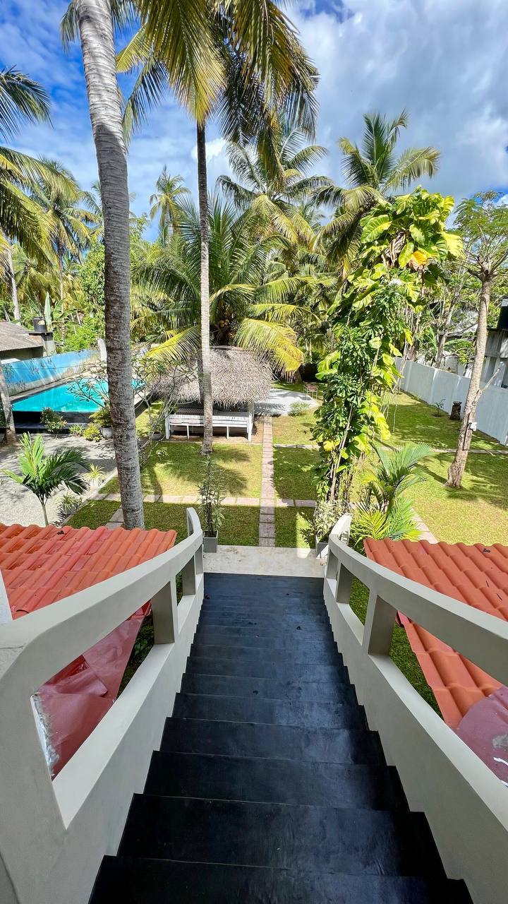 Шри-Ланка на максимум: от джунглей до океанских волн (41/100)