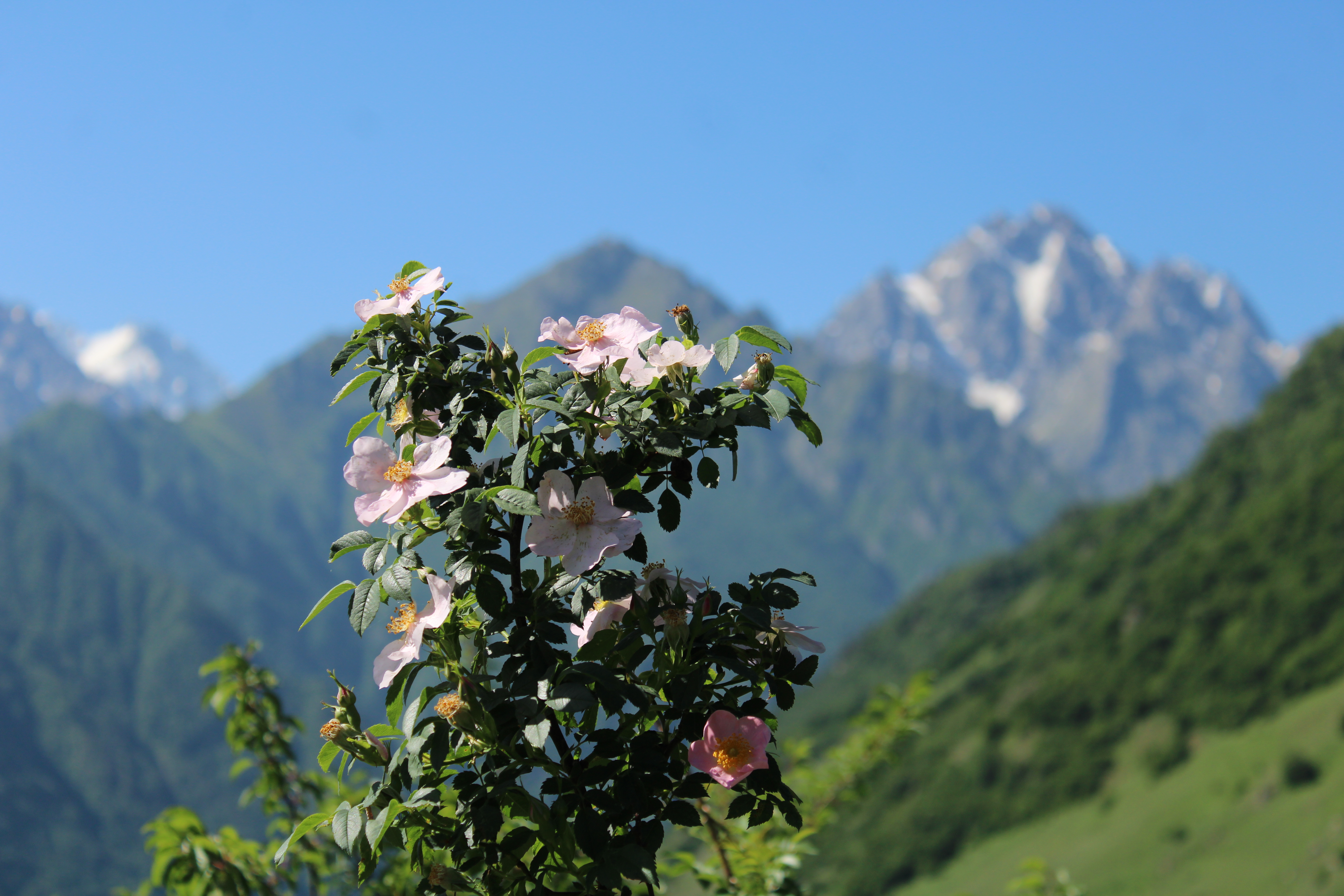 Звездопад Персеиды. 3 дня в сердце гор. (13/21)
