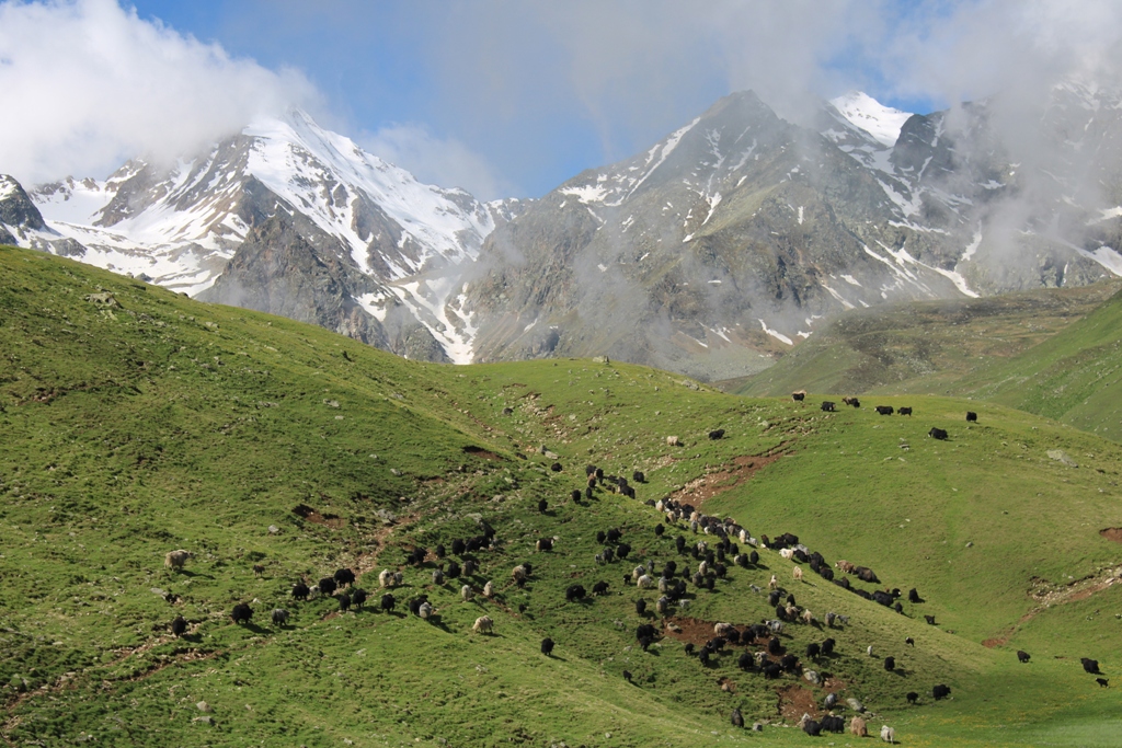 Звездопад Персеиды. 3 дня в сердце гор. (8/21)
