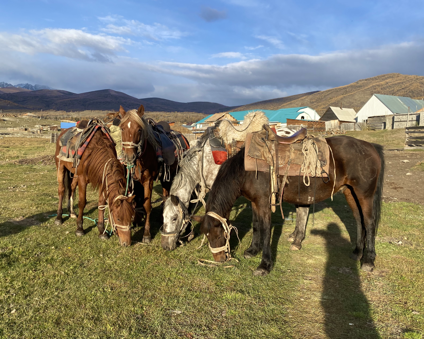 Непостижимый Аргут + Чокпорташ со стартом из Кош-Агача (60/84)