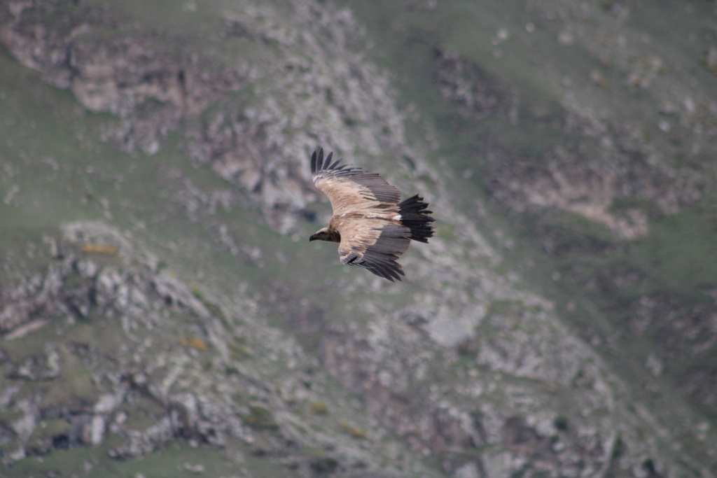 Звездопад Персеиды. 3 дня в сердце гор. (7/21)