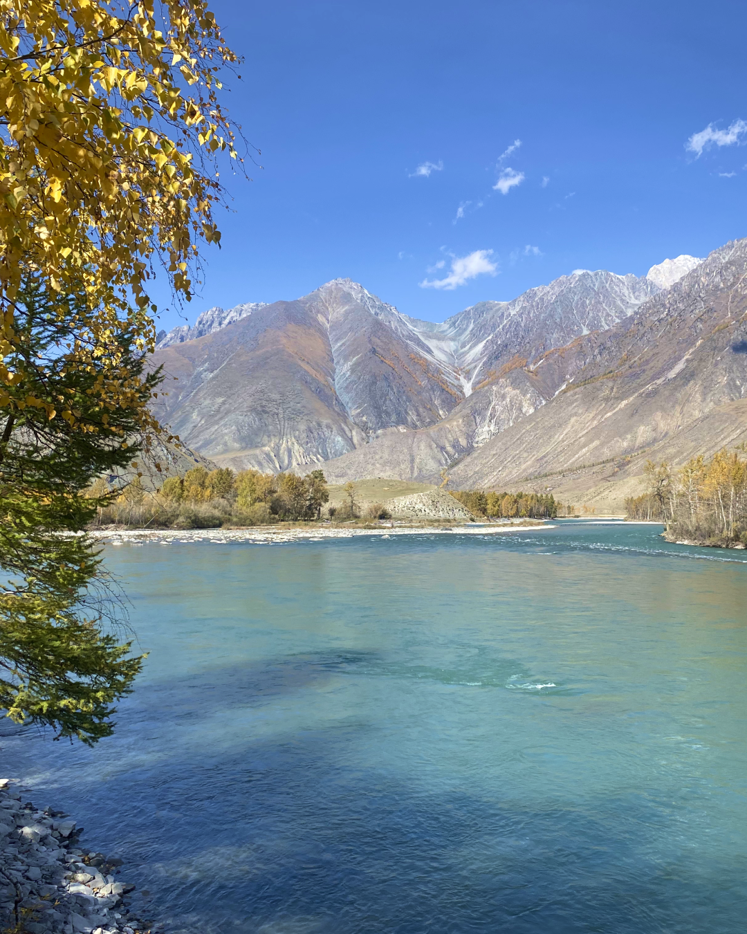 Непостижимый Аргут + Чокпорташ со стартом из Кош-Агача (53/84)