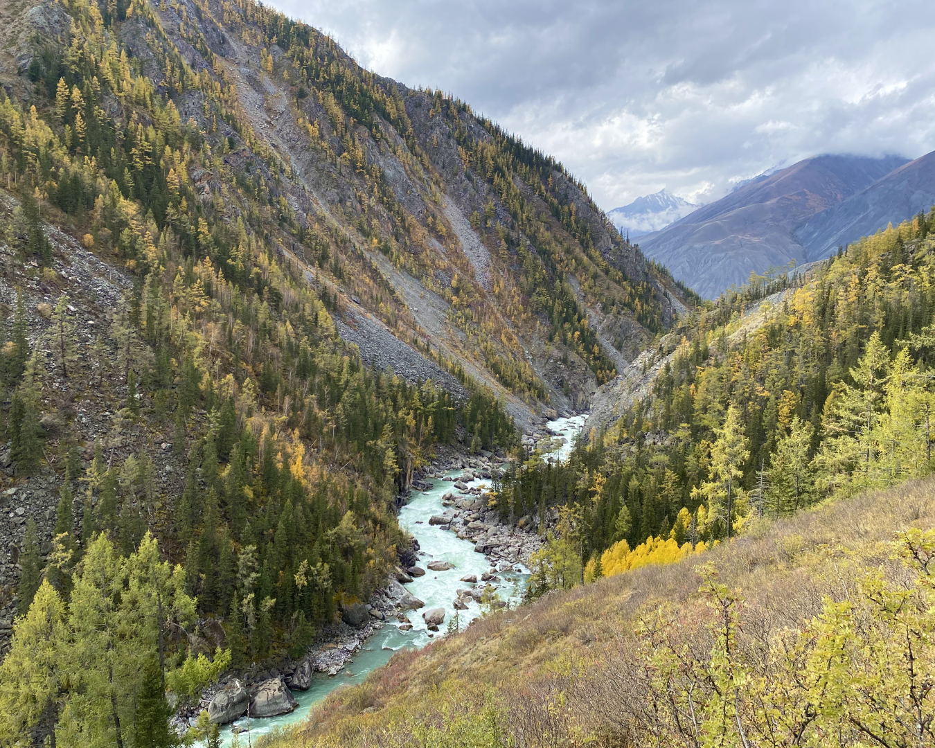 Непостижимый Аргут + Чокпорташ со стартом из Кош-Агача (61/84)