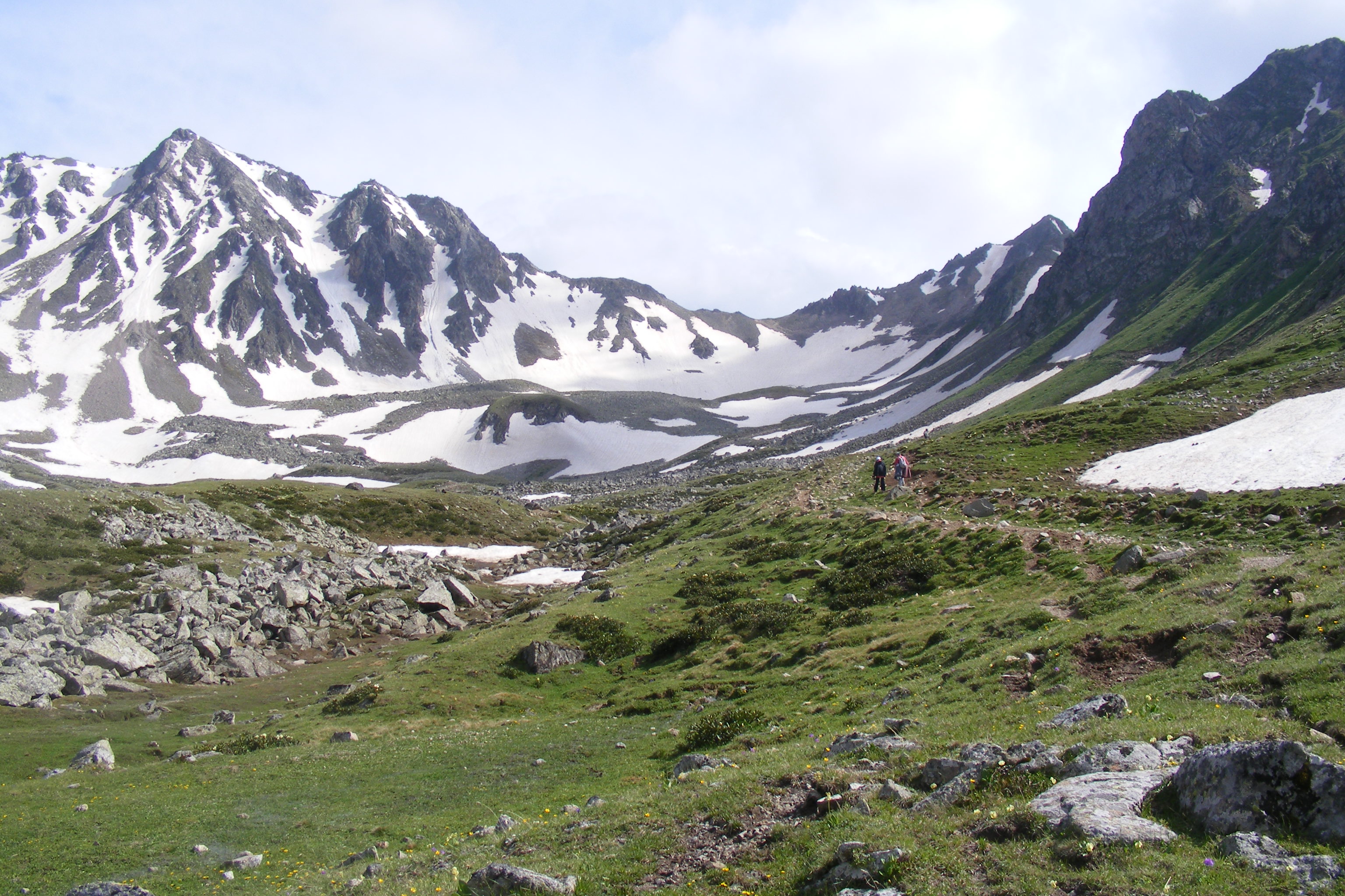 К цветущим рододендронам! (6/19)