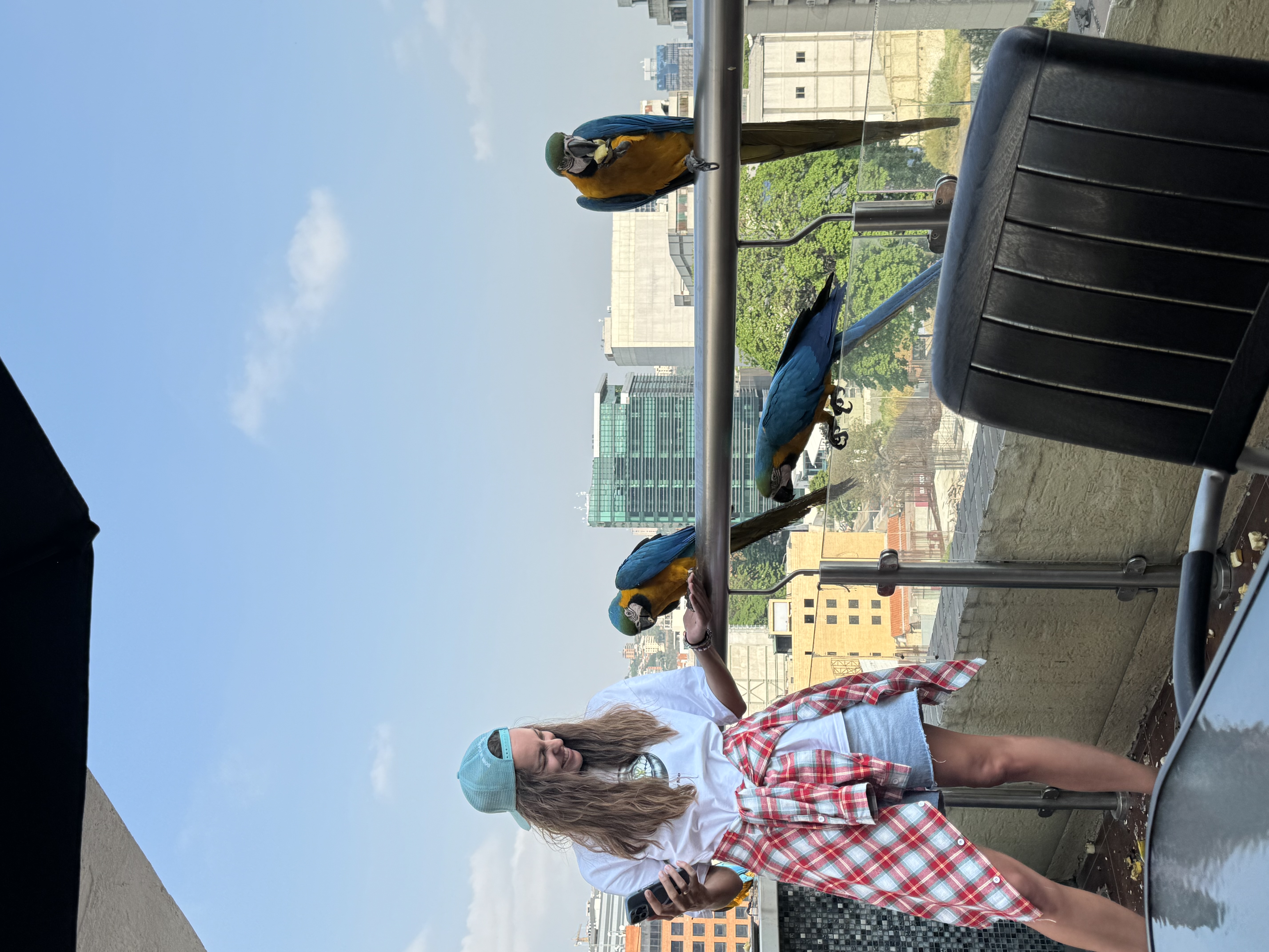 Венесуэла - большое путешествие в затерянные миры (индивидуально) (24/51)