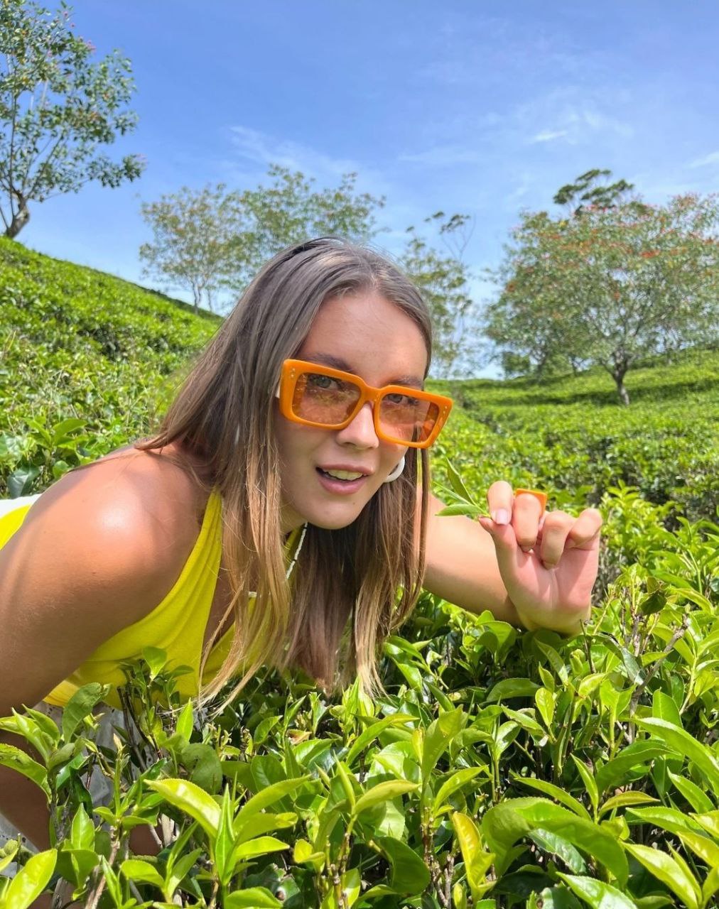 Йога-Серф Тур на Шри-Ланку с поездкой в центр острова, топ локациями юга, сафари (13/45)