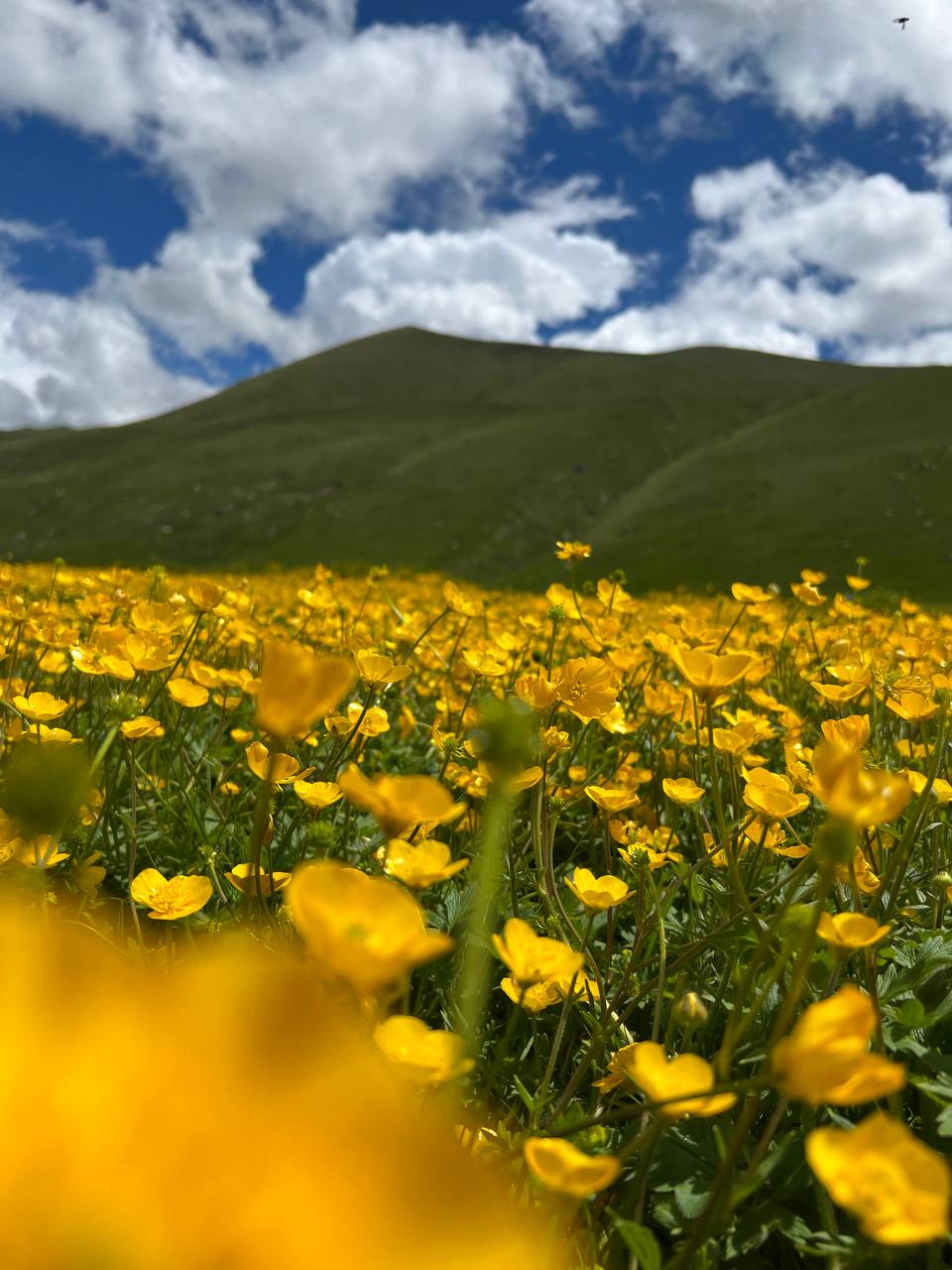 Джип-тур к сказочным водопадам в урочище Джилы-Су (2/14)