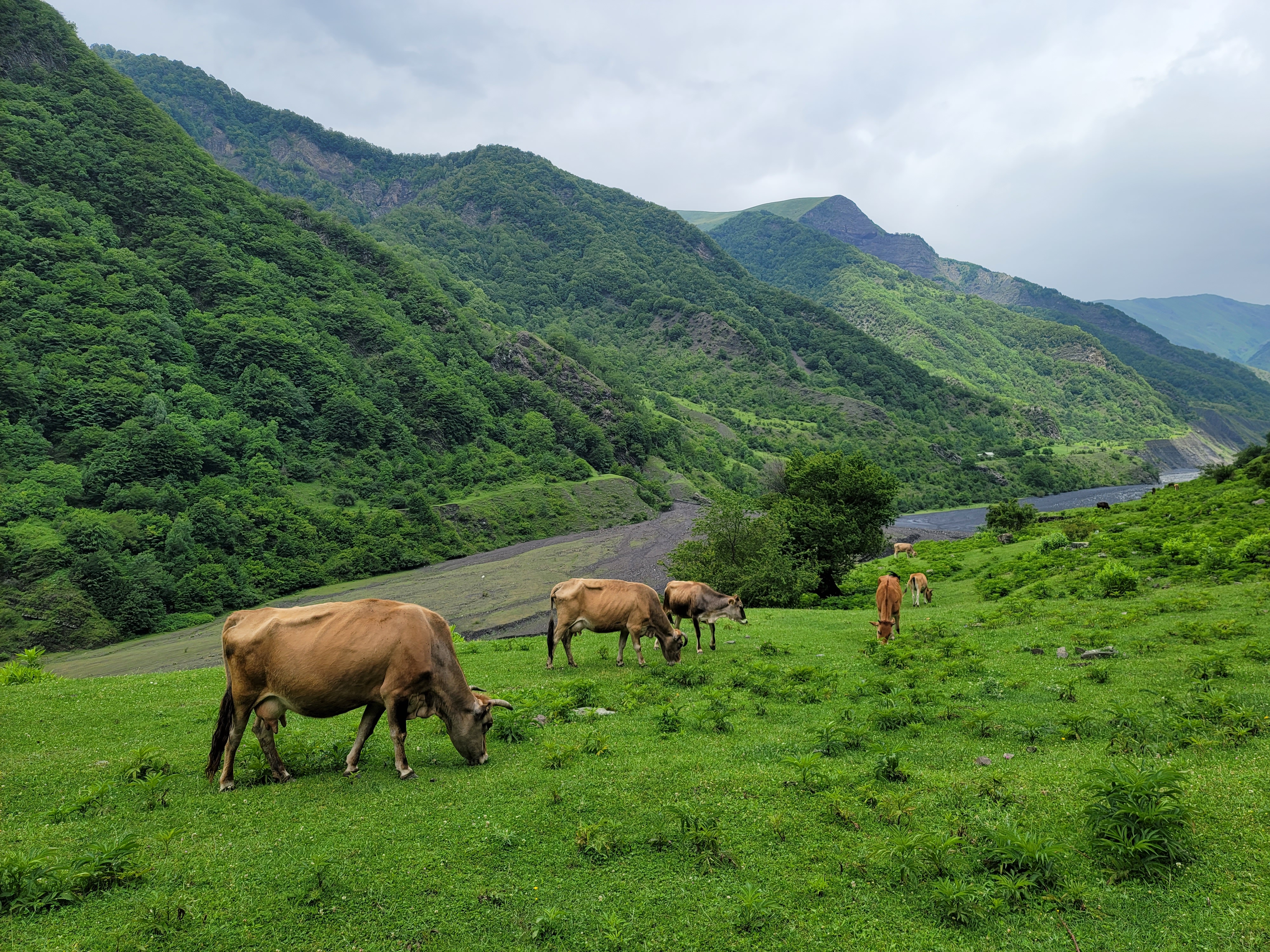 Увидеть весь Азербайджан за 8 дней (141/201)