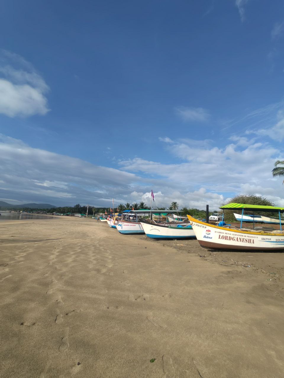 Волшебная Индия с Гоа (13/170)