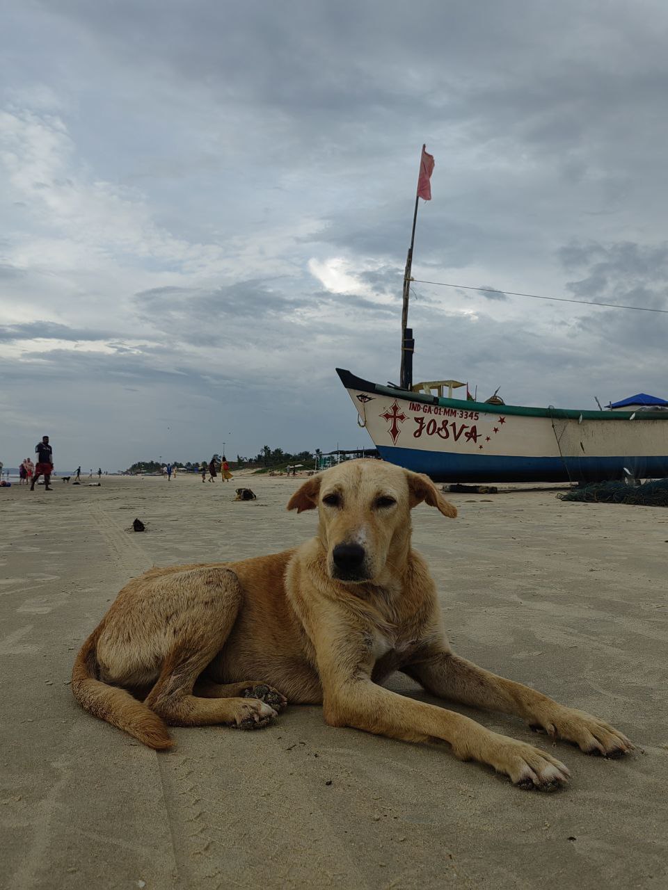 Волшебная Индия с Гоа (3/170)