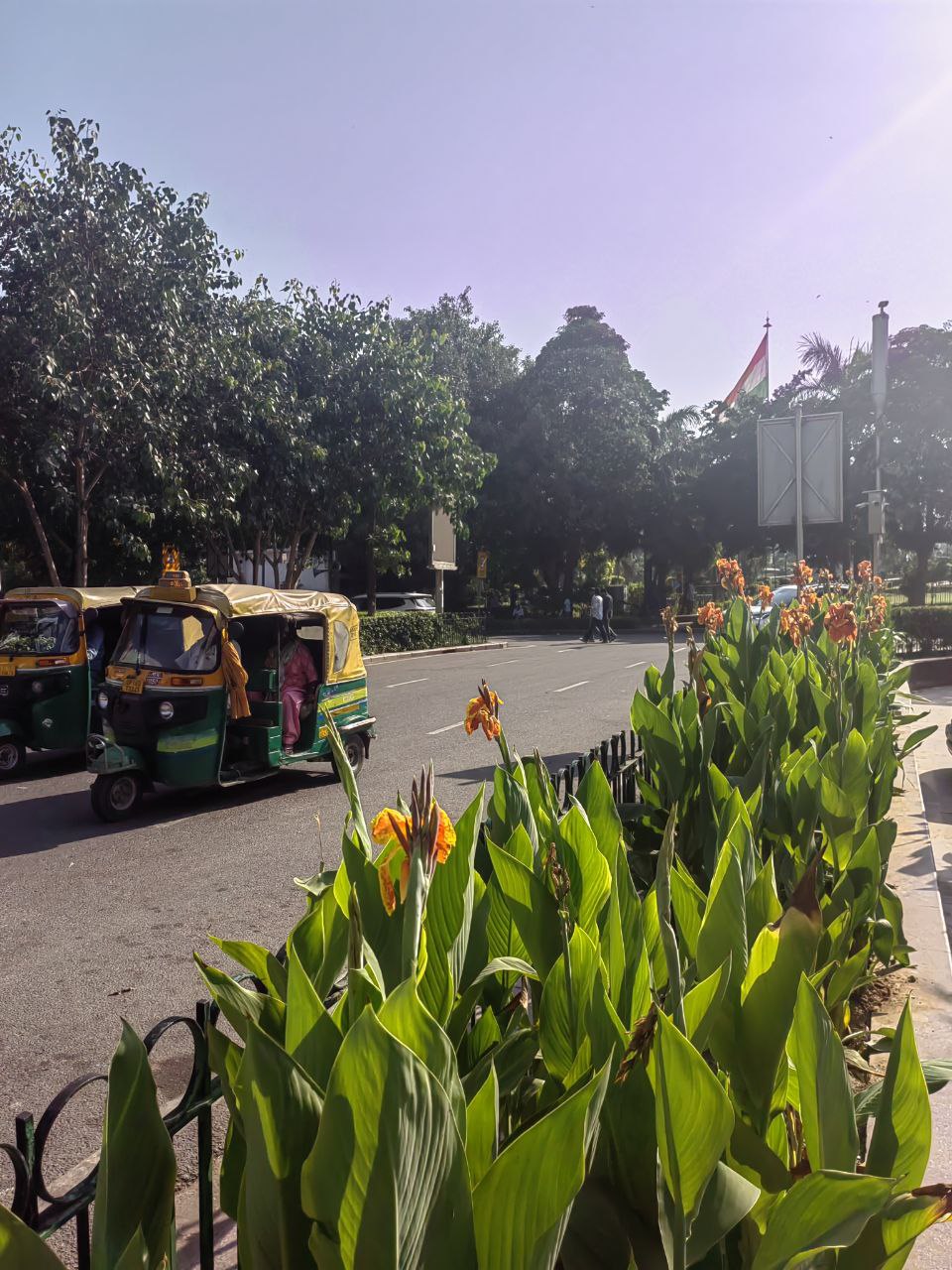 Волшебная Индия с Гоа (23/170)