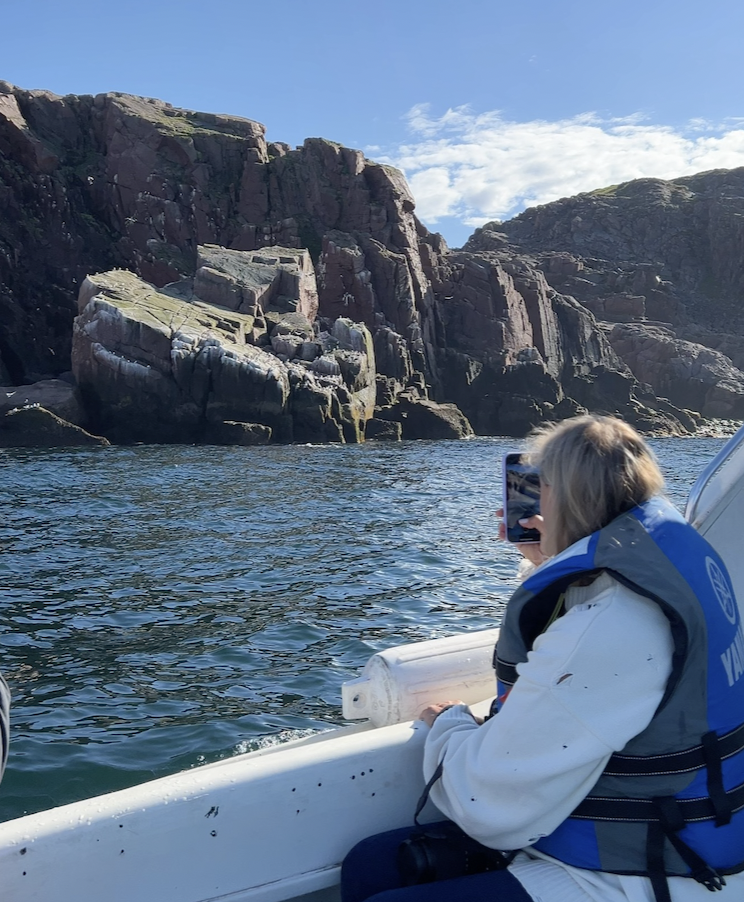 Увидеть все: киты, Териберка, морепродукты (2/24)