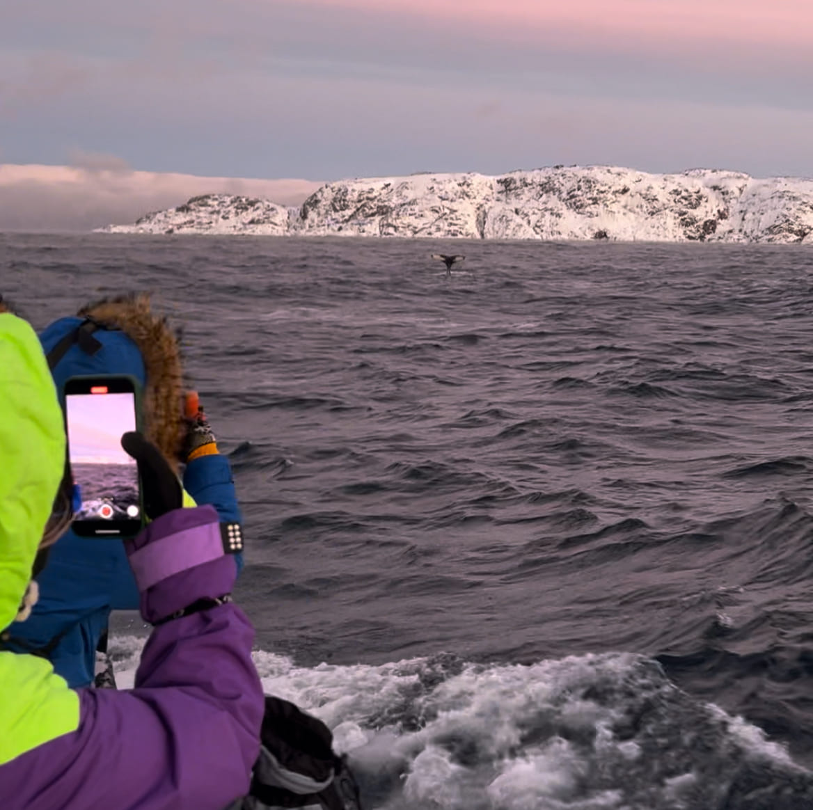 За Китами И Сиянием! Териберка, Сияние, Саамы и Ледокол