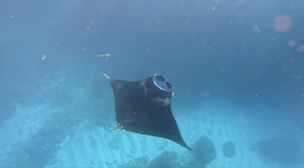 Нуса-Пенида за 2 дня (8/8)