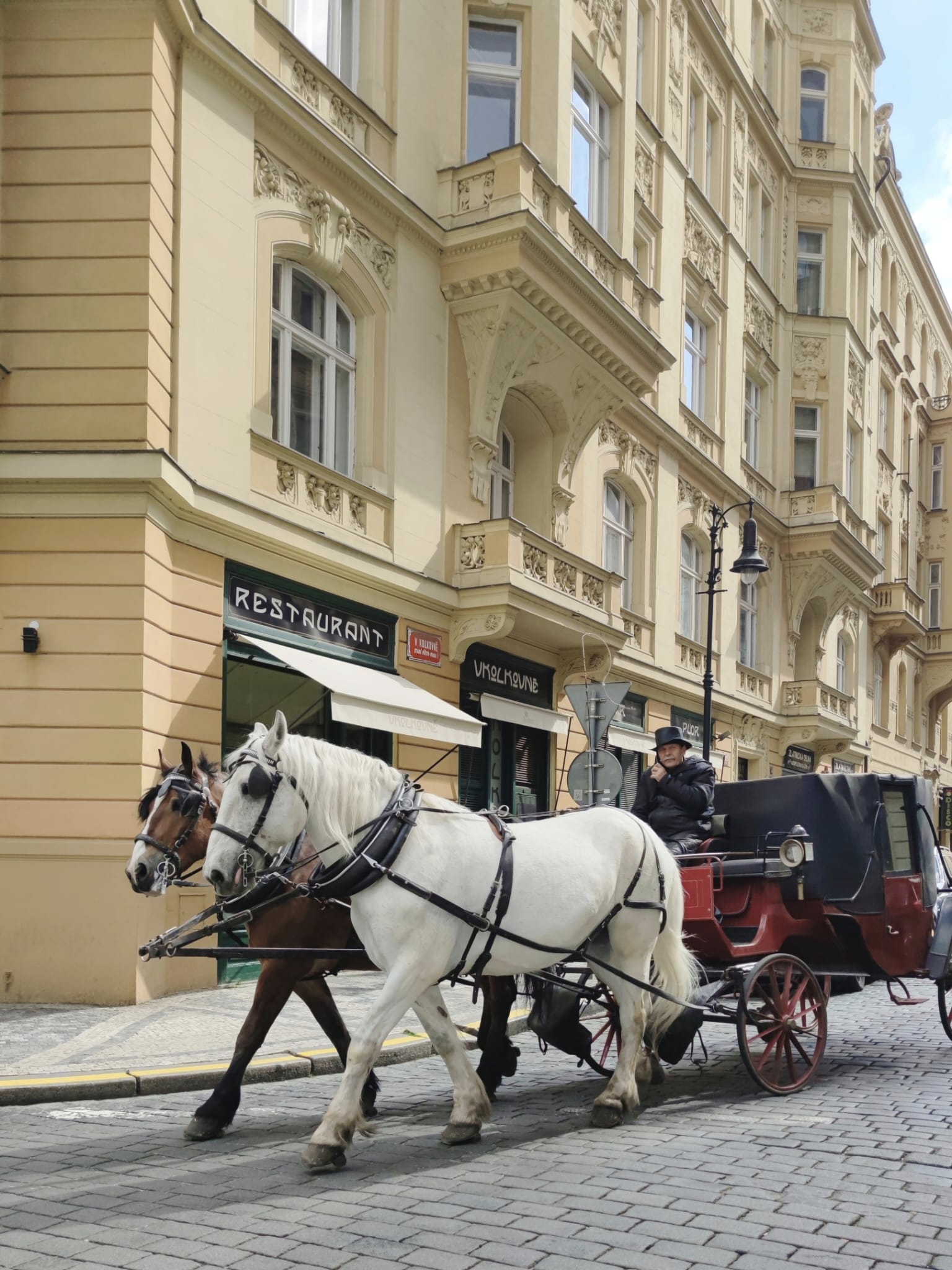 Обзорная экскурсия Здравствуй, Прага! (9/17)