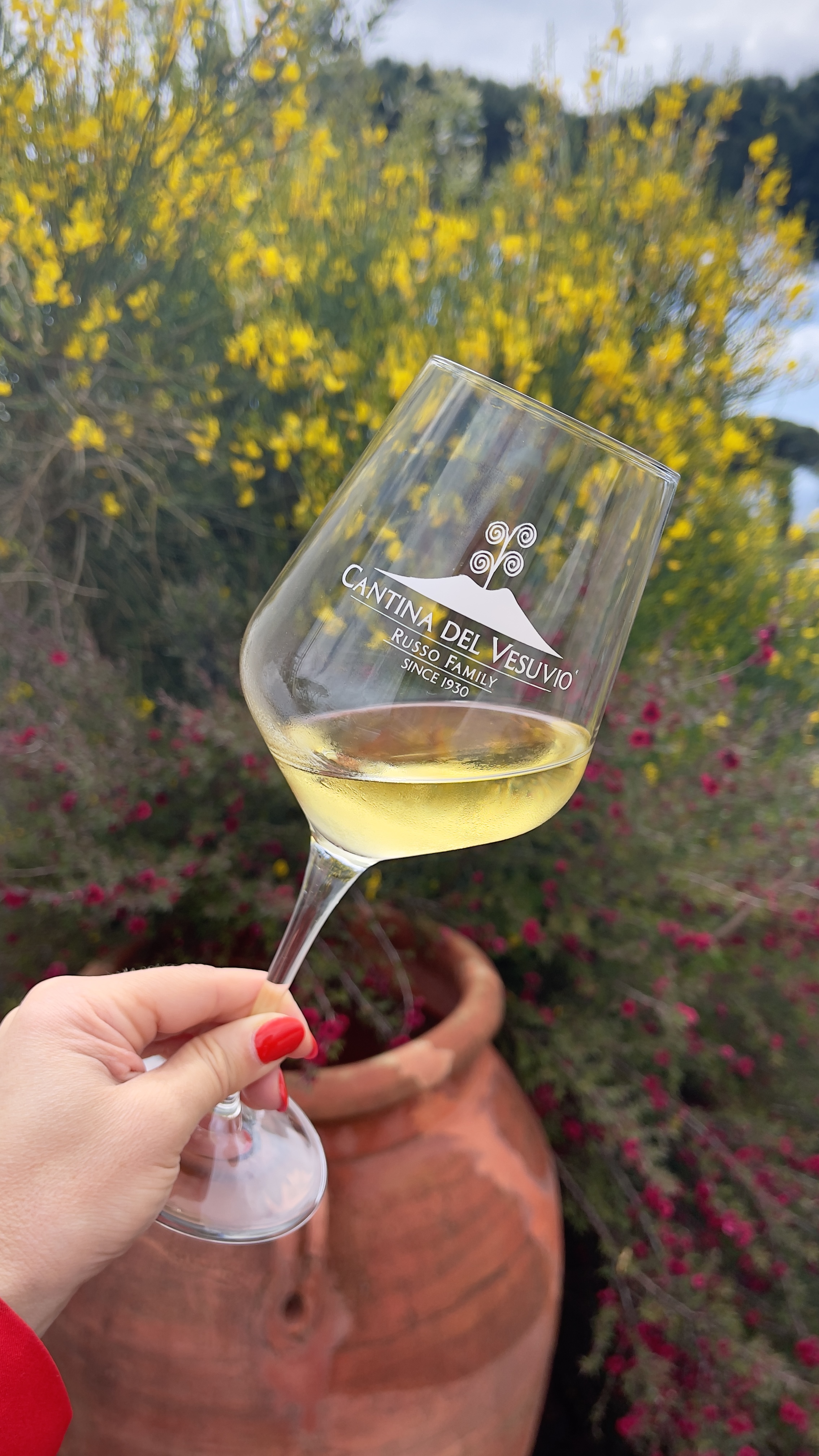 Страна Лимония: Амальфитанское побережье и Неаполь (10/17)