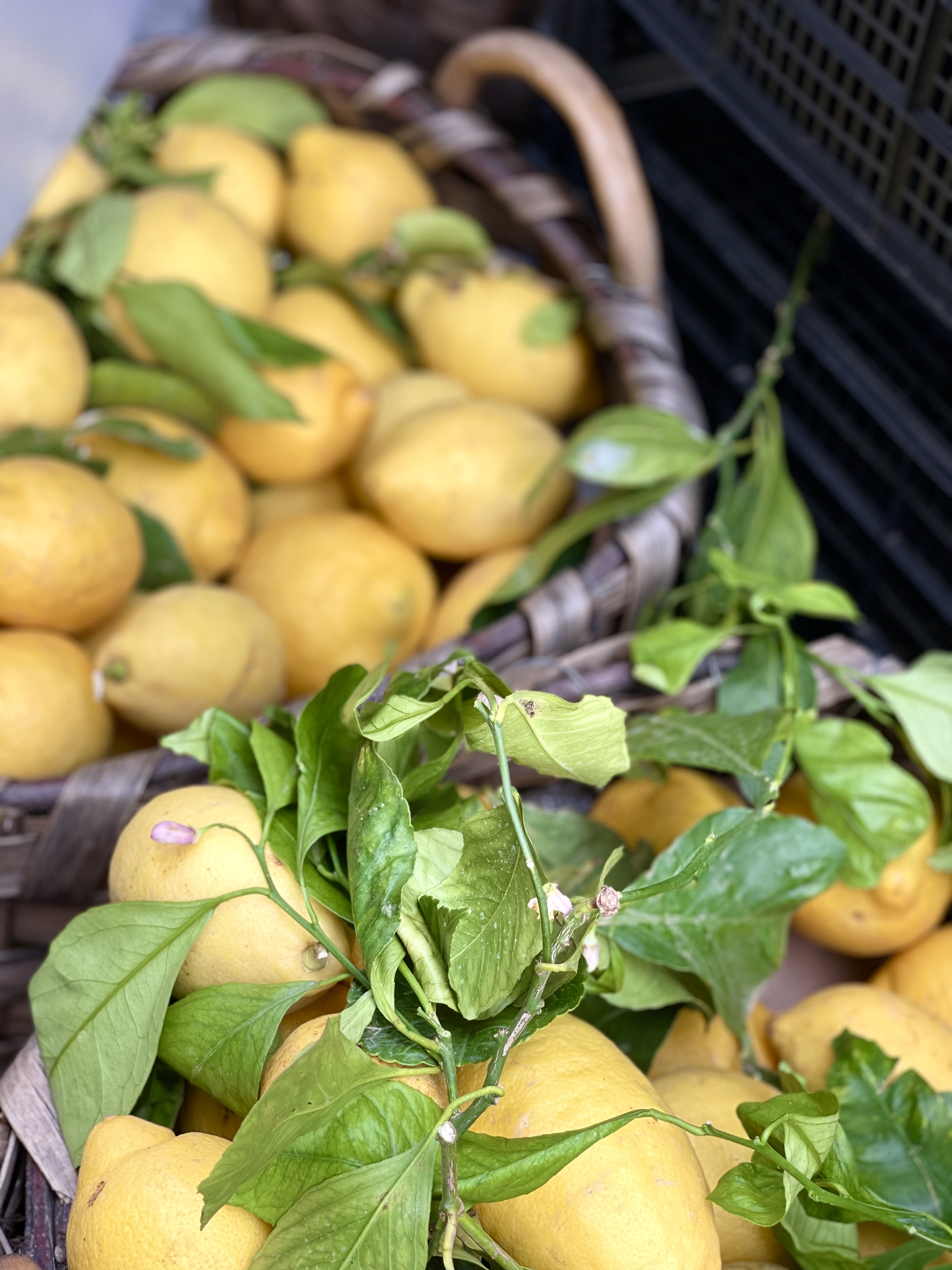 Страна Лимония: Амальфитанское побережье и Неаполь (9/17)