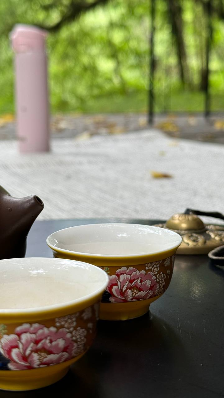 Ретрит-тур в Сочи (3/8)