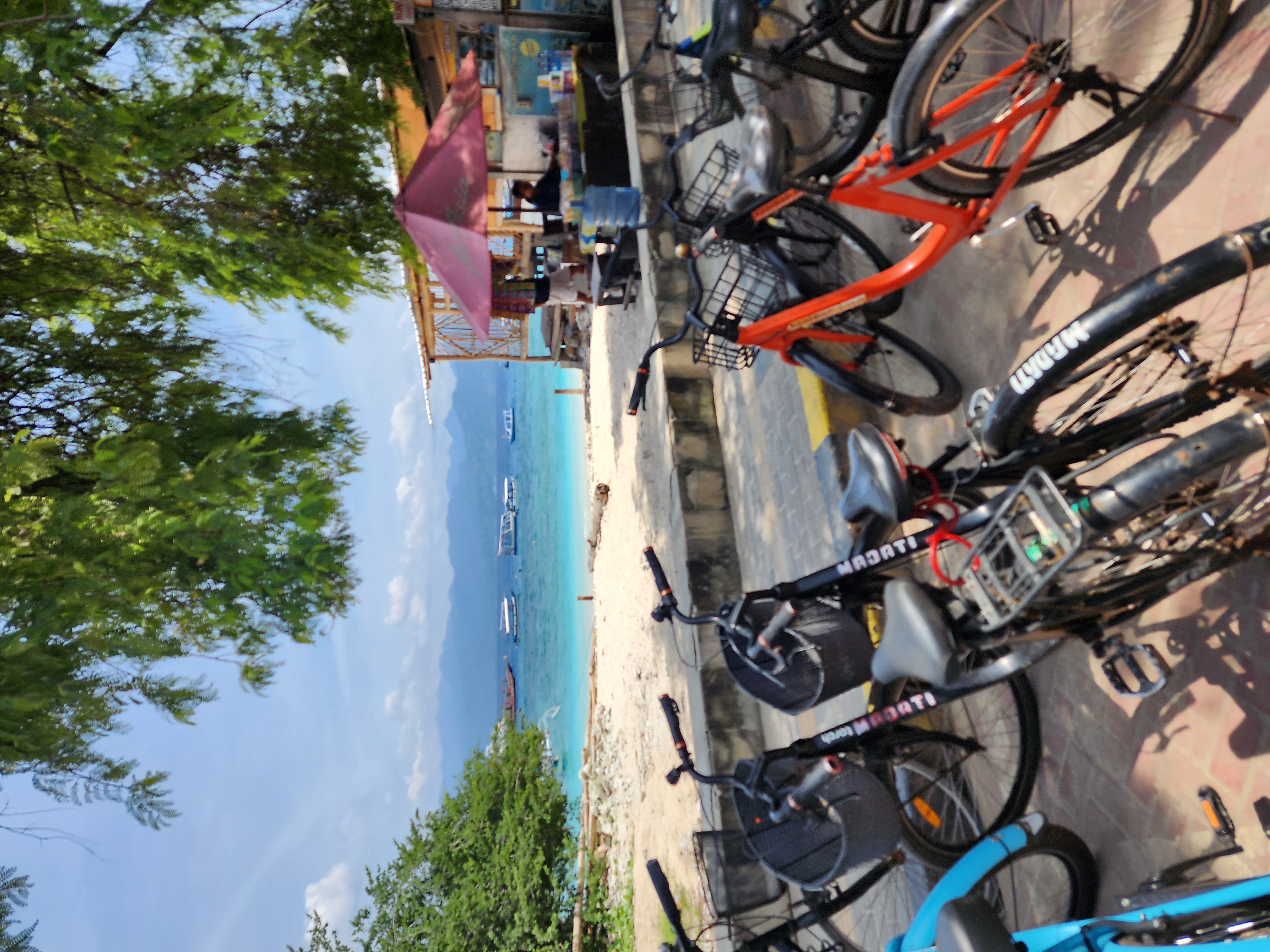 5 островов Индонезии (Бали, Нуса Пенида, Ява, Флорес, Комодо) 13 дней (42/122)