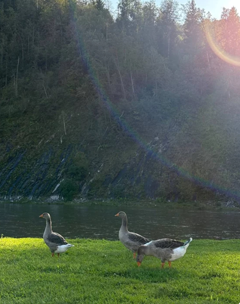 Открой для себя Башкирию! Фирменный тур на 3 дня по живописным местам Башкирии (8/24)