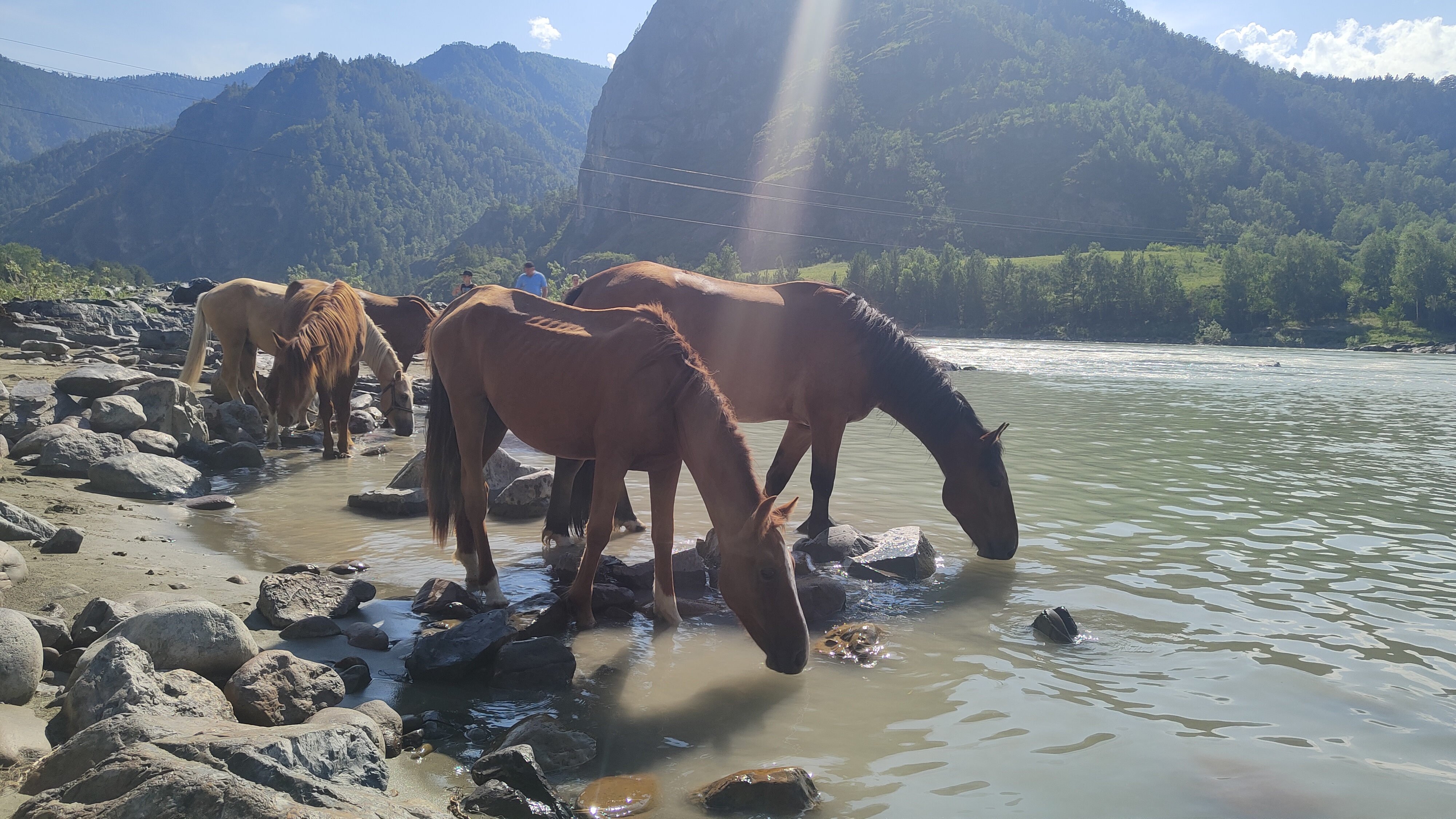 Дивный, Сказочный Алтай. Вариант проживания - Стандарт (9/25)
