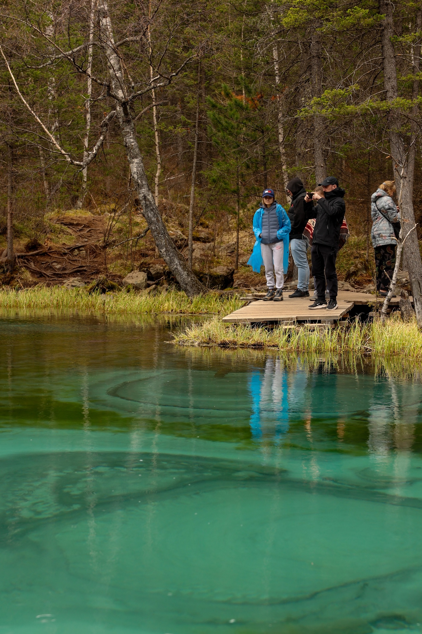 По Золотому кольцу Алтая 2026 - увидеть весь Алтай! (5/50)