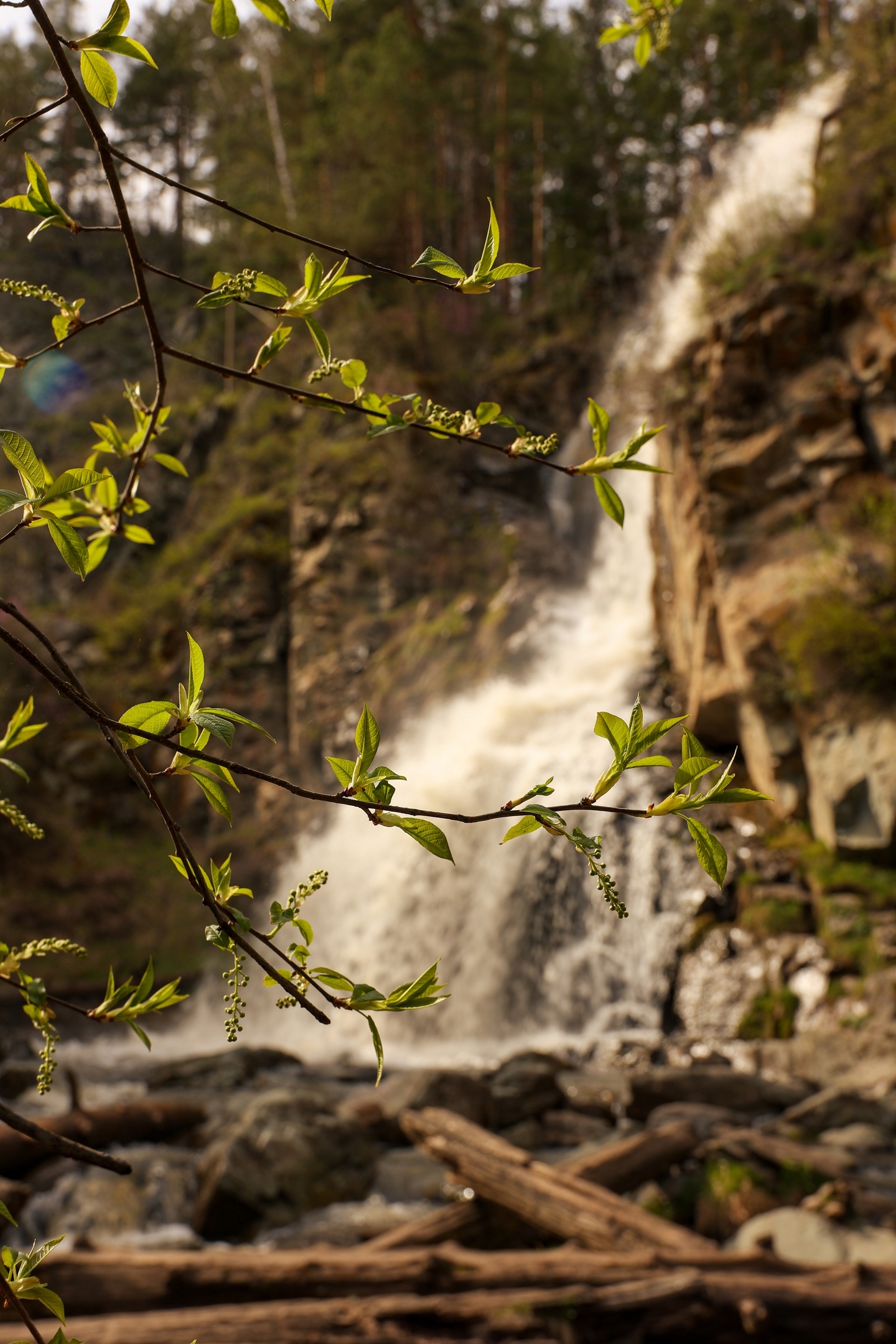 По Золотому кольцу Алтая 2026 - увидеть весь Алтай! (7/50)
