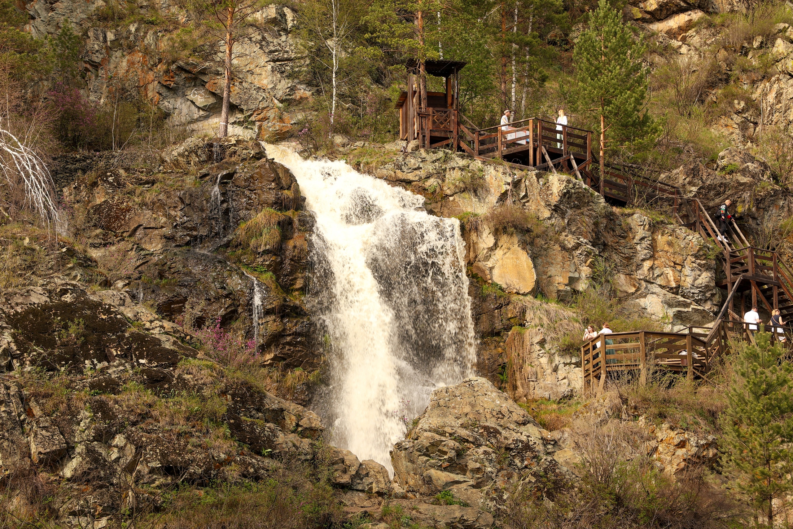 По Золотому кольцу Алтая 2026 - увидеть весь Алтай! (4/50)