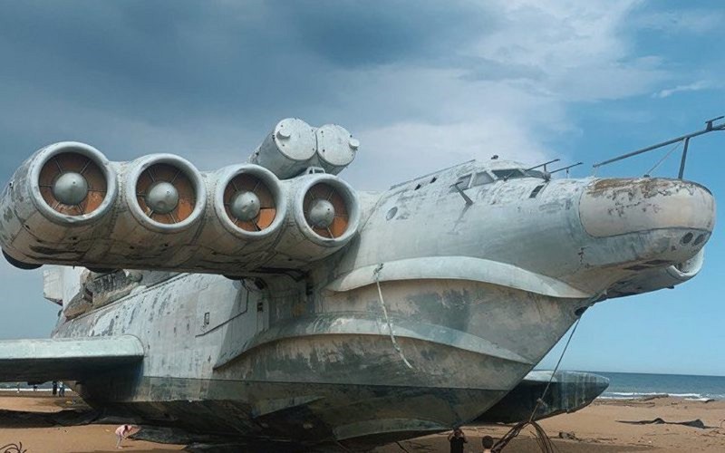 Самурский лес, Черный Песок и Купание (6/7)