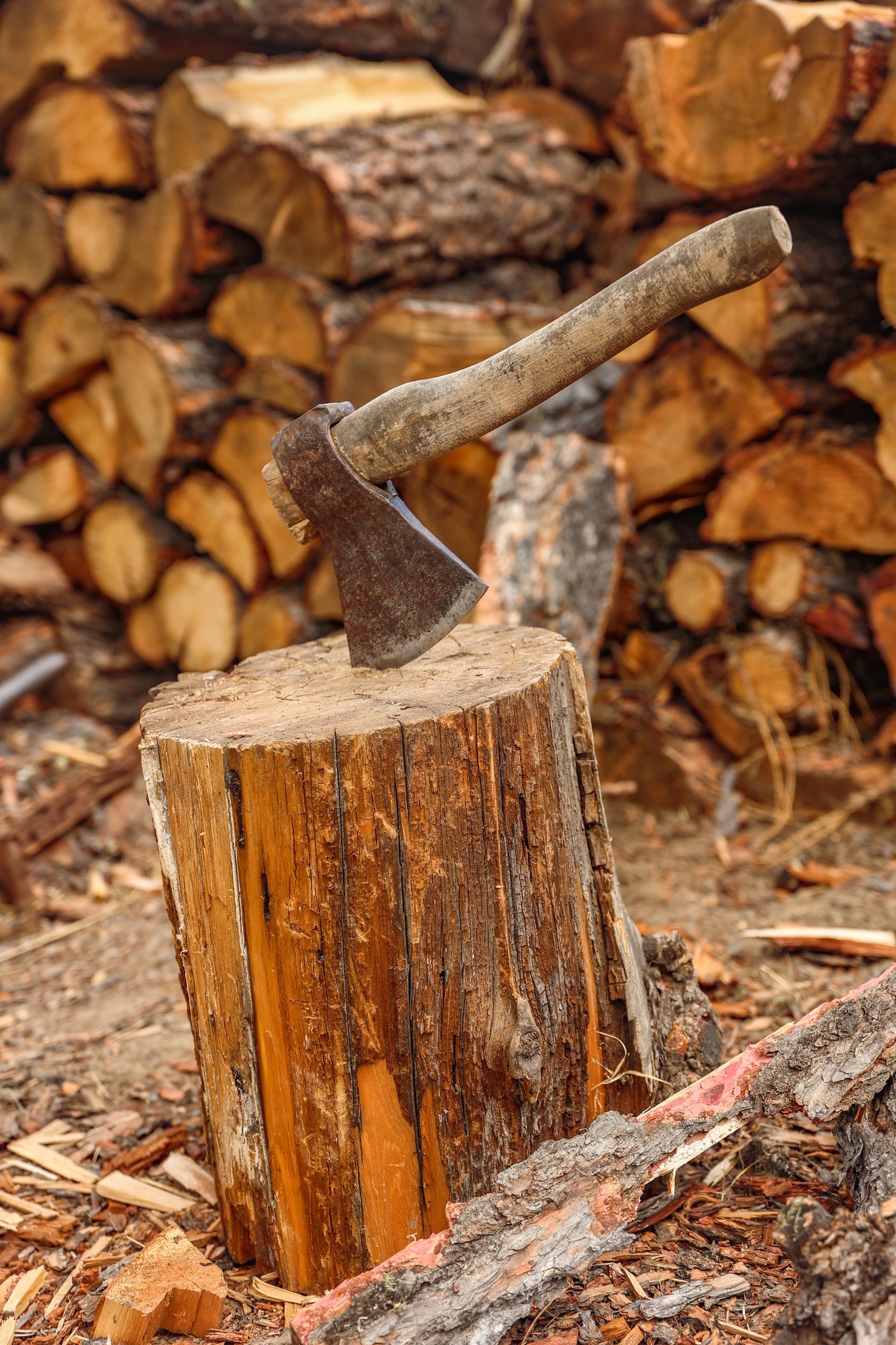 По Золотому кольцу Алтая 2026 - увидеть весь Алтай! (6/50)