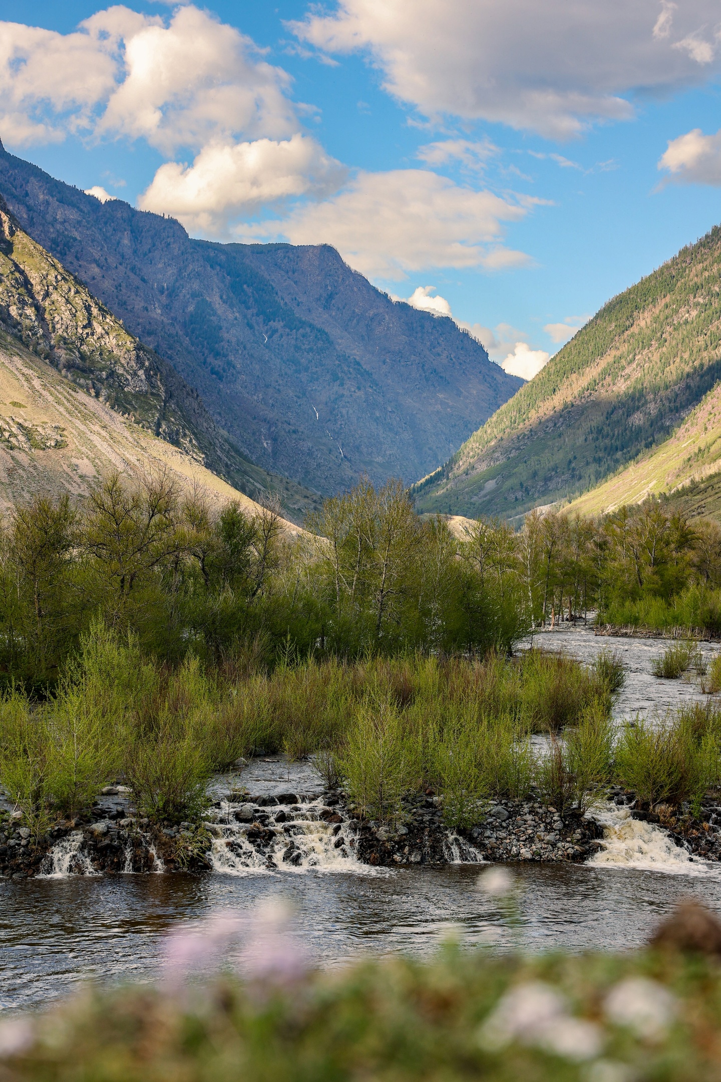 В кругосветку по Алтаю! 2026 Посмотри весь Алтай! (30/110)